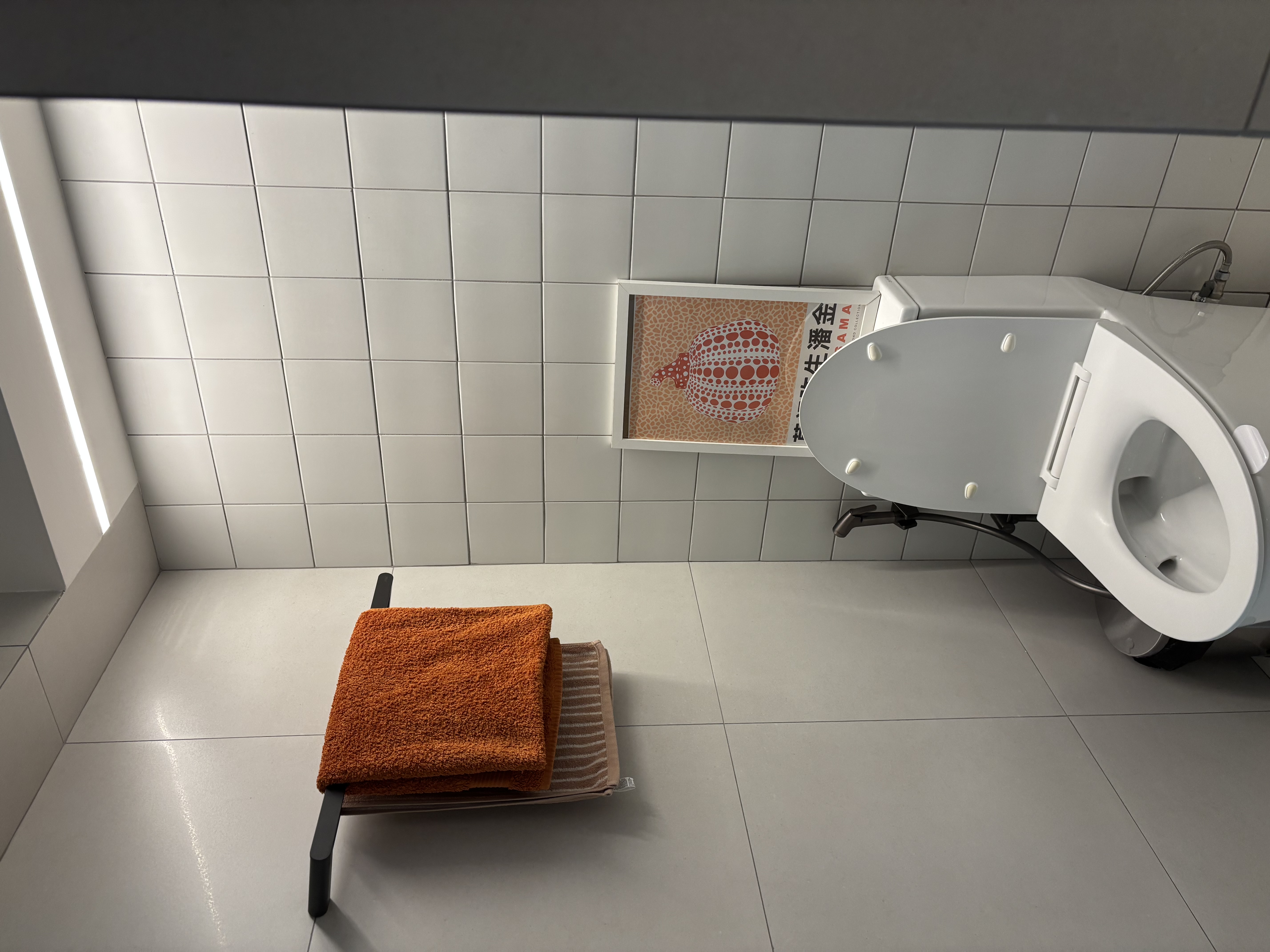 Welcome To Our Organised Mess 🫟