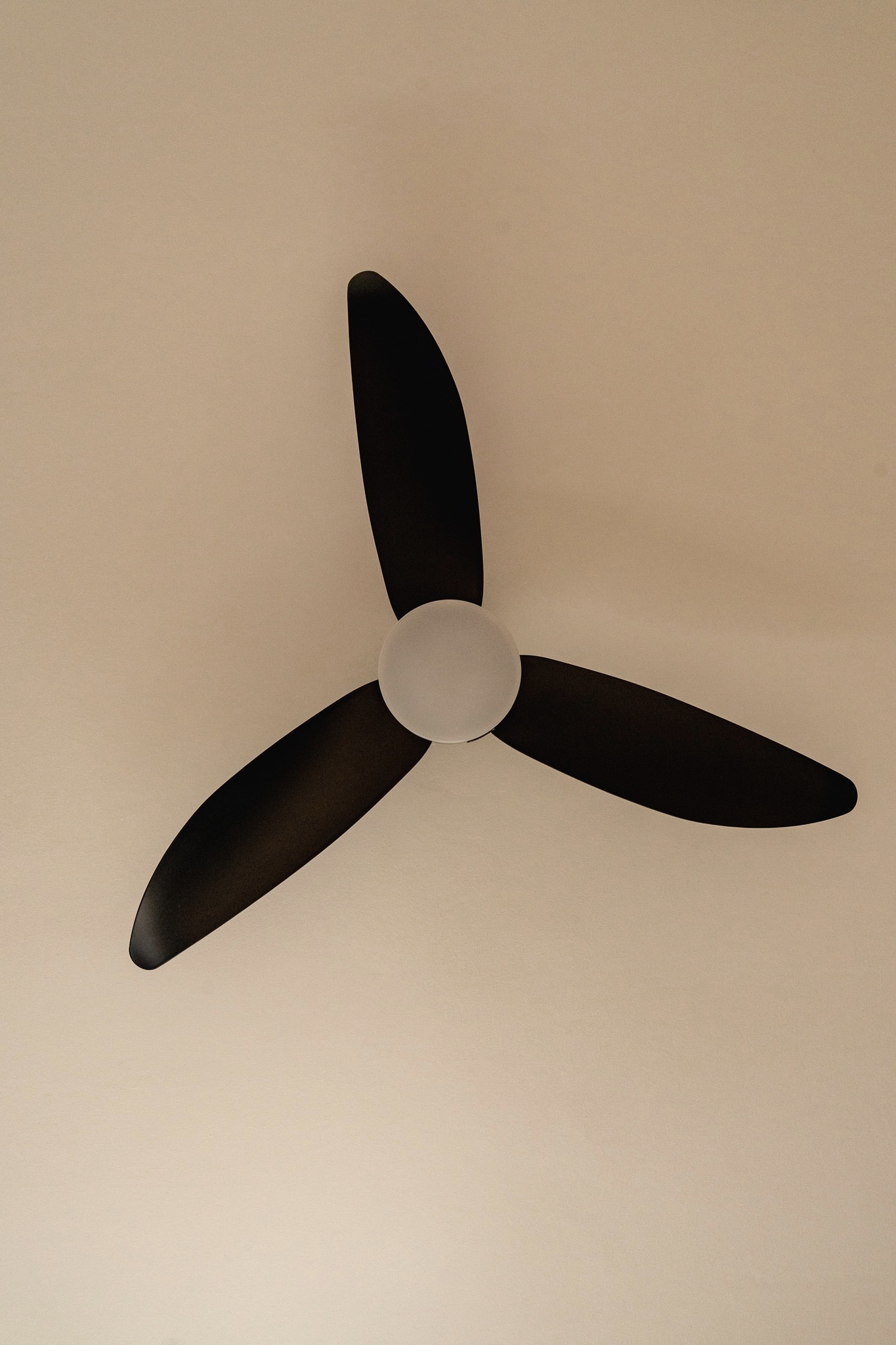 Home appliances recs and where to get them for cheaper than retail!