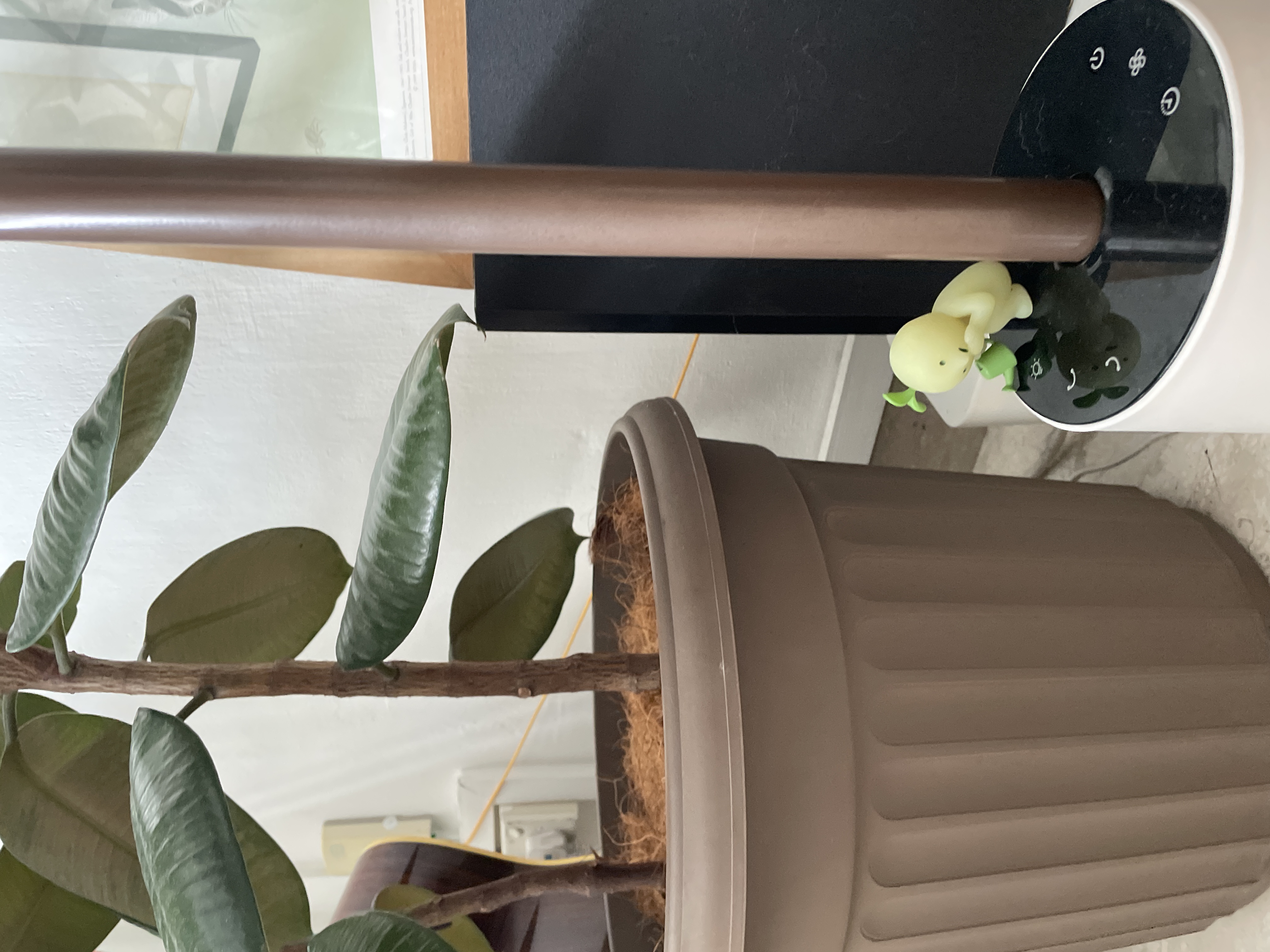 Inside Our Quirky Collectibles Corner 🍾✨