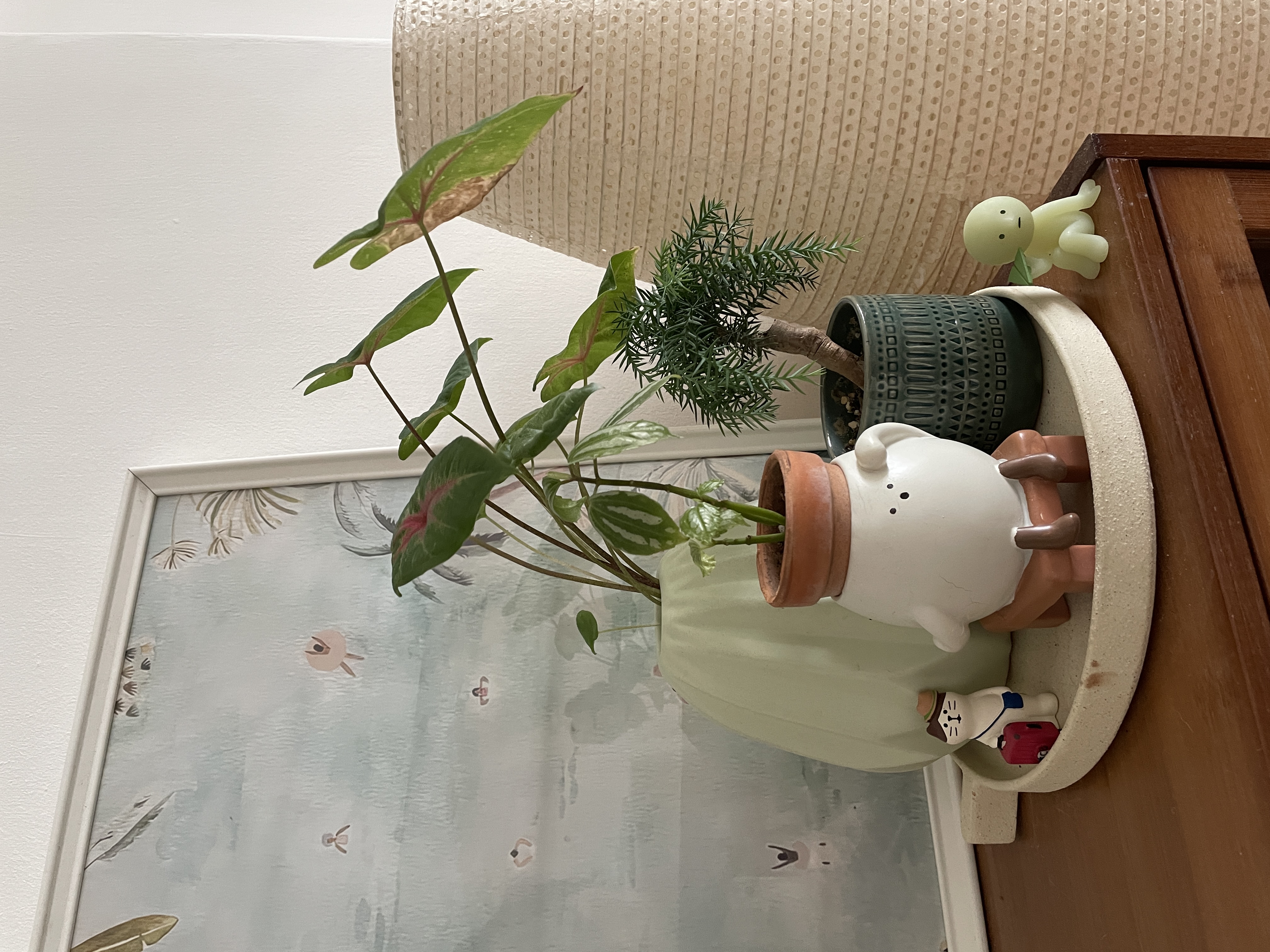 Inside Our Quirky Collectibles Corner 🍾✨