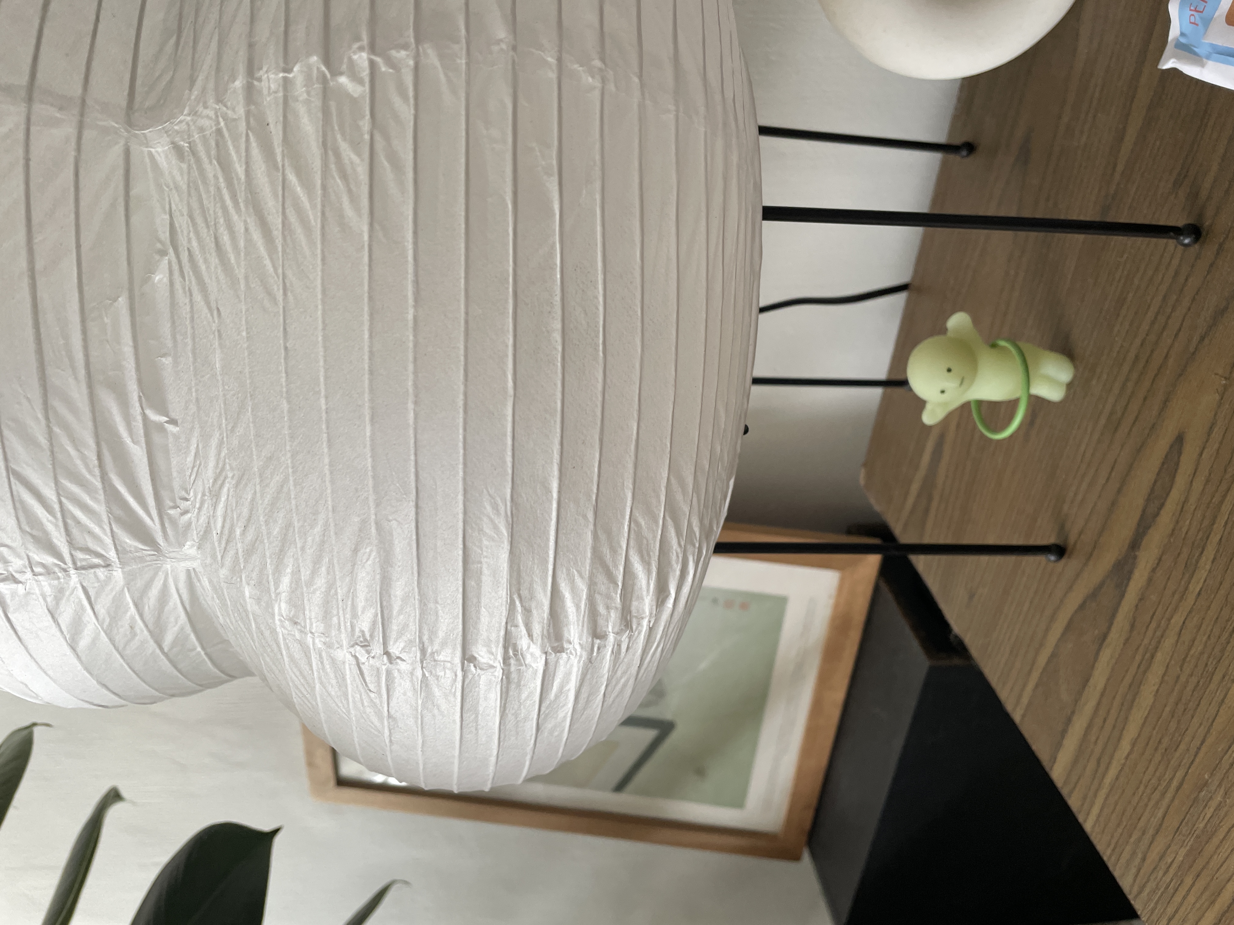 Inside Our Quirky Collectibles Corner 🍾✨