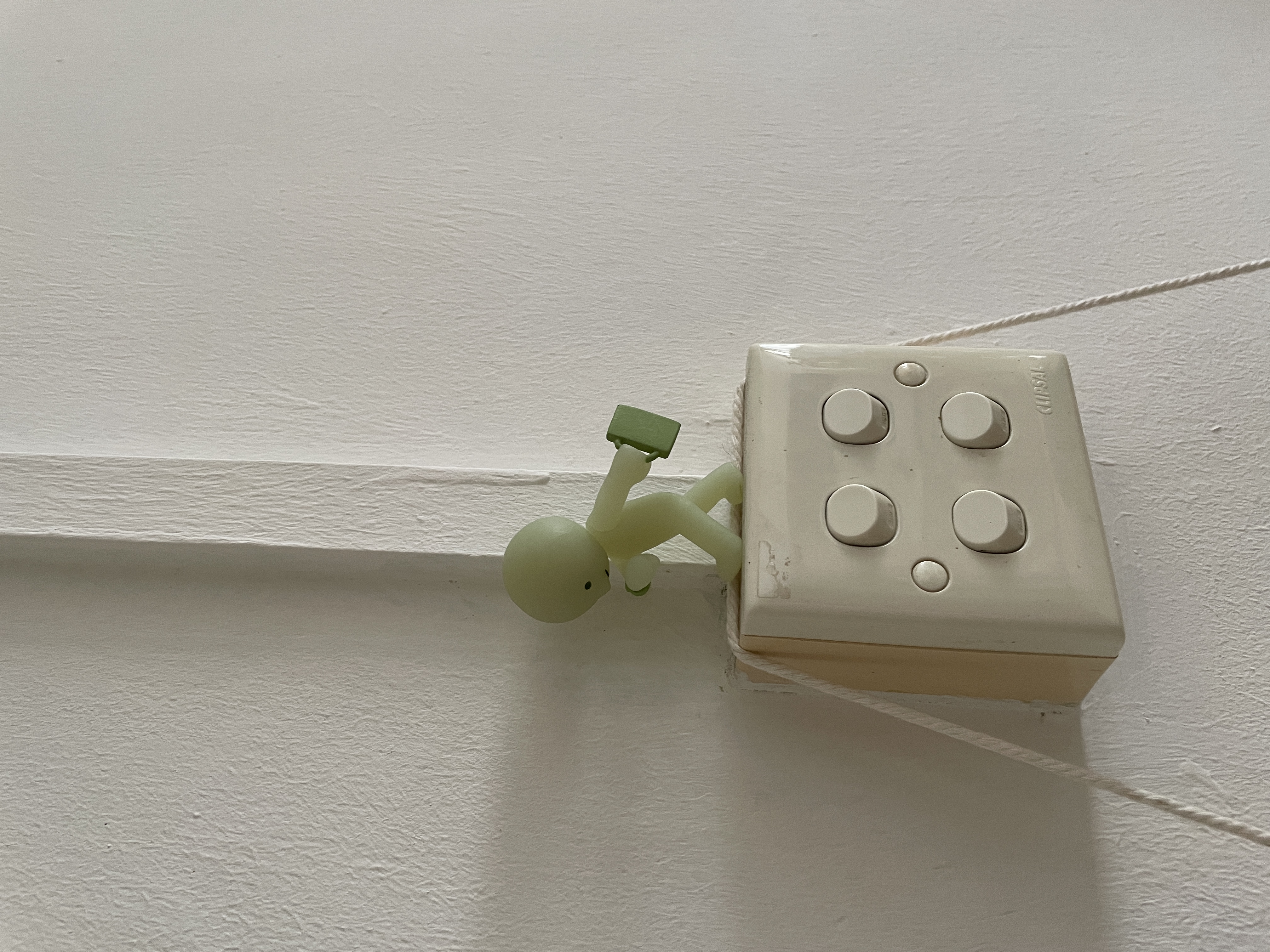 Inside Our Quirky Collectibles Corner 🍾✨