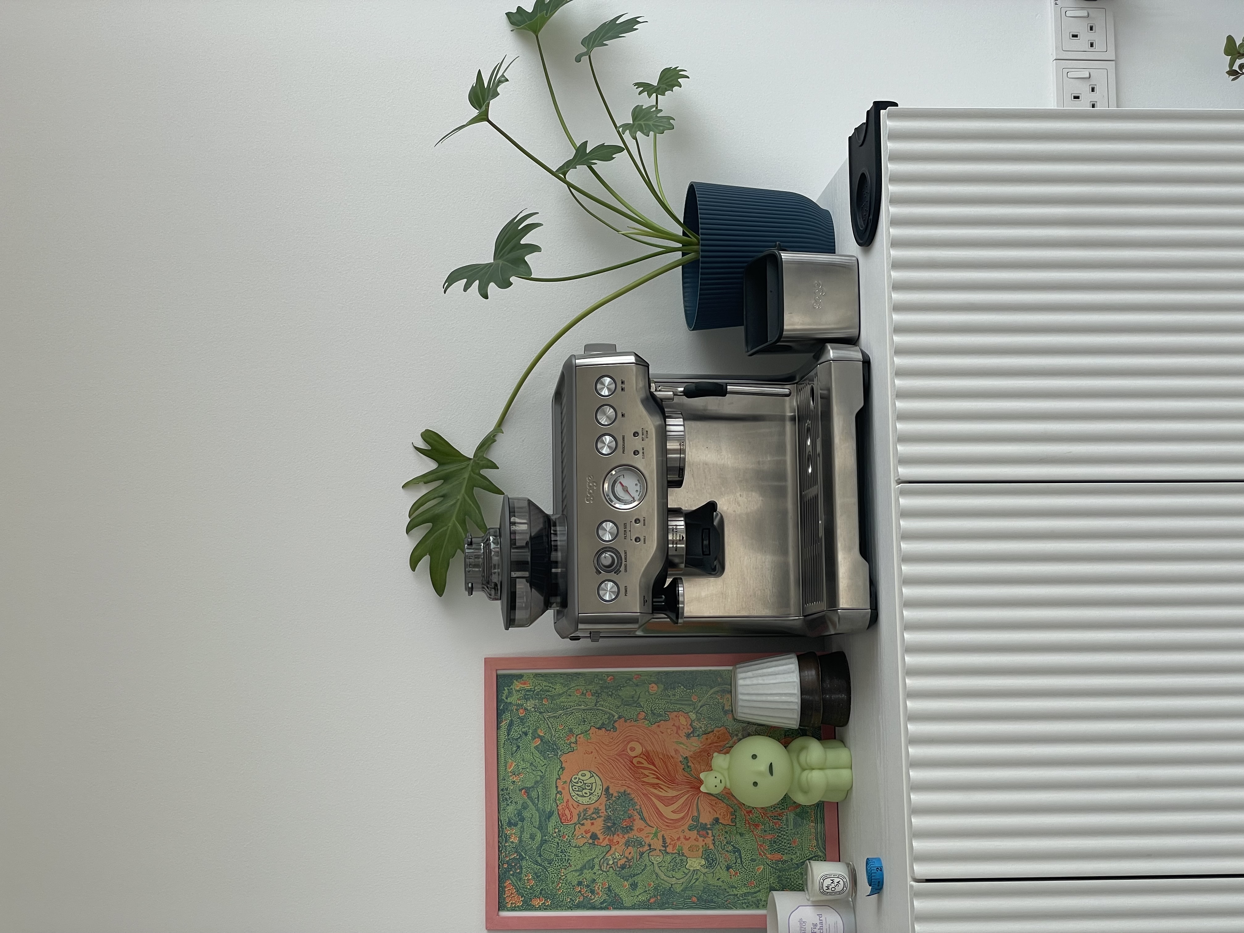 Inside-My-Cozy-Home---2-Months-After-Moving-In-🏠💕