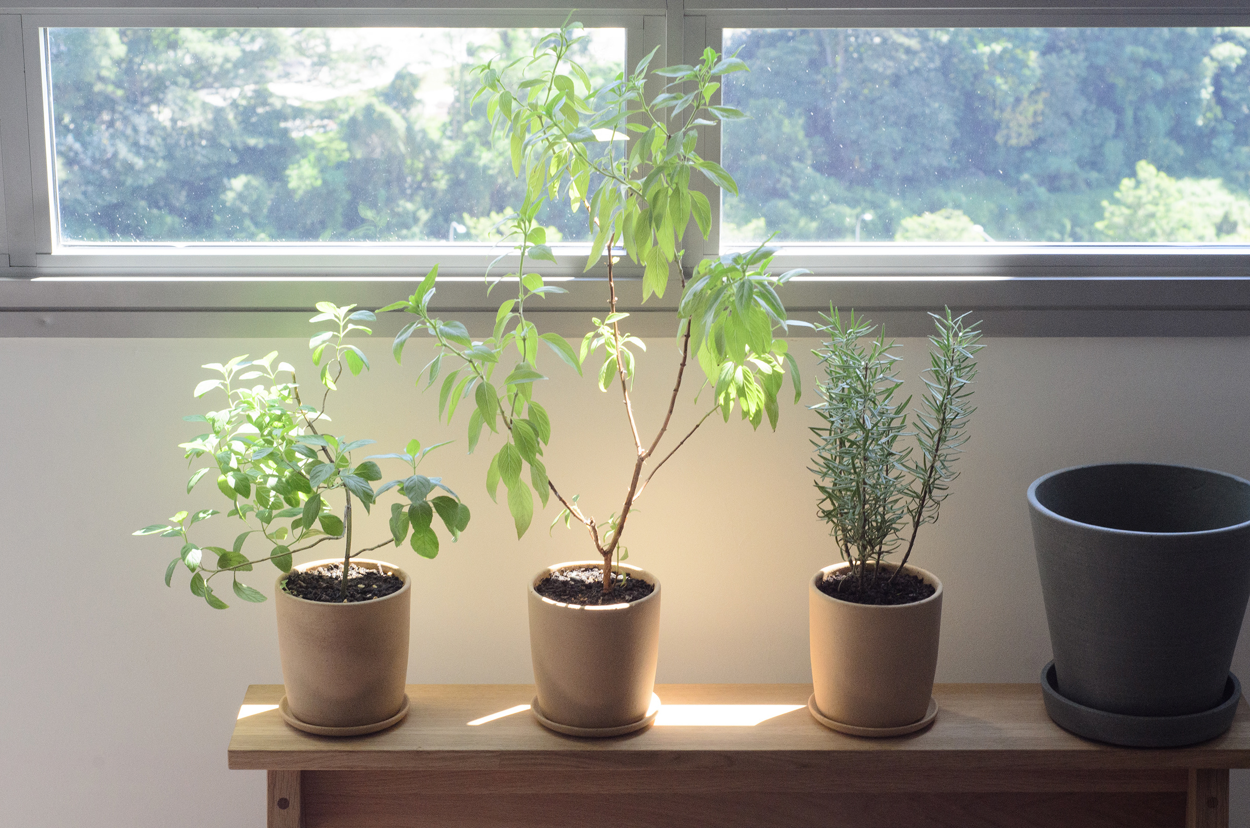 “Soft light, slow days: An artful pause from the world