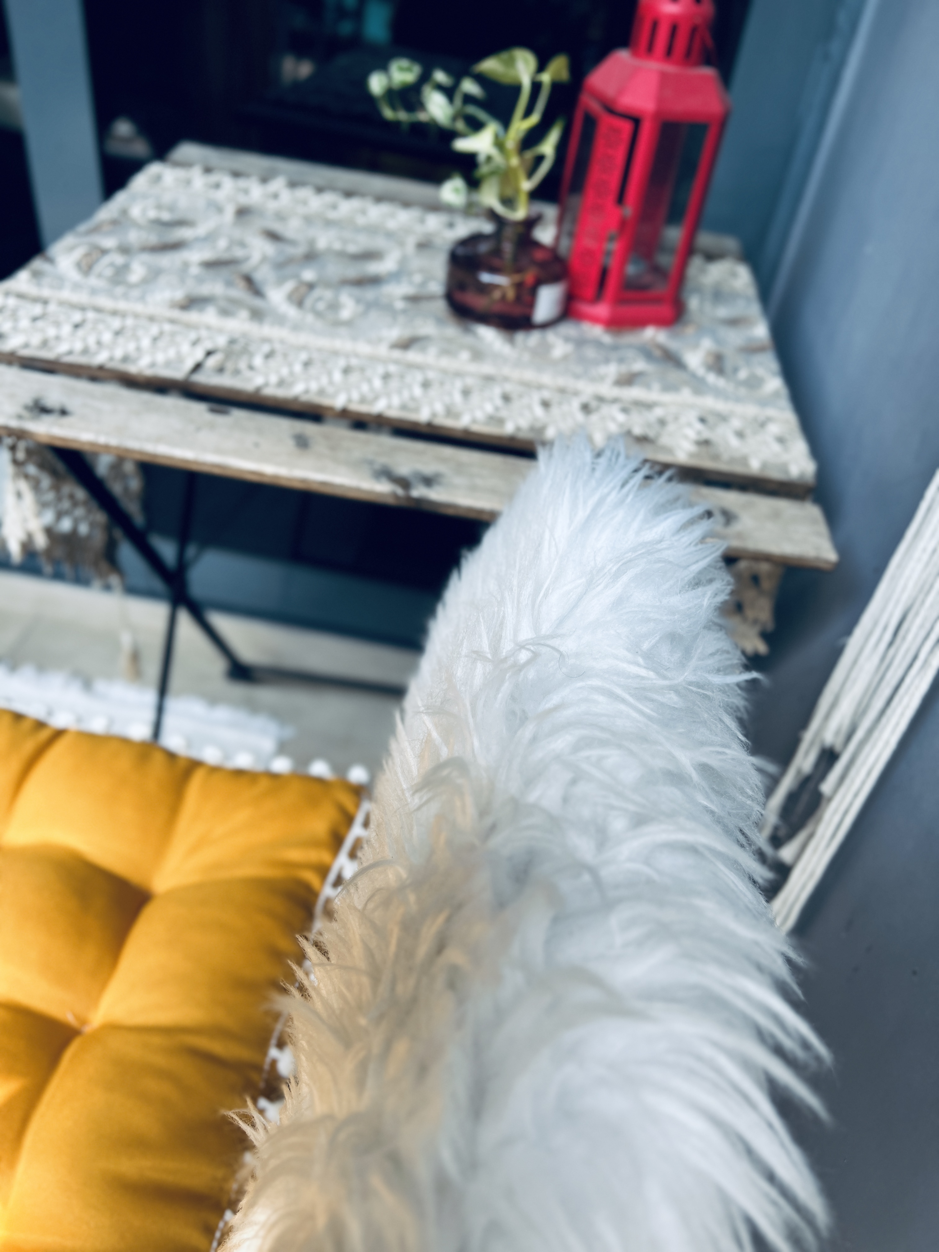 A personal space serves as a sanctuary