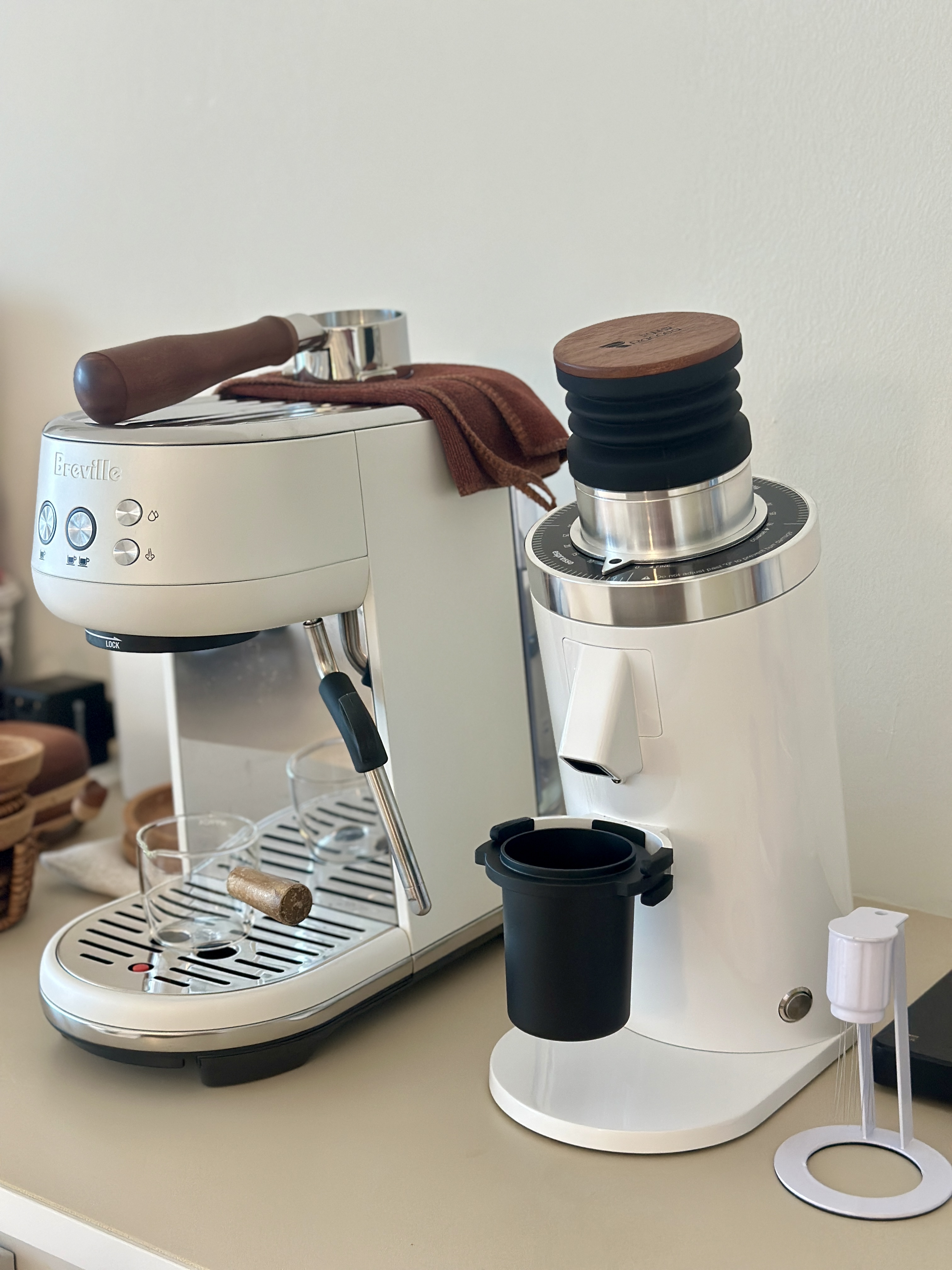 We’re back on Communa – Season 10! ✨