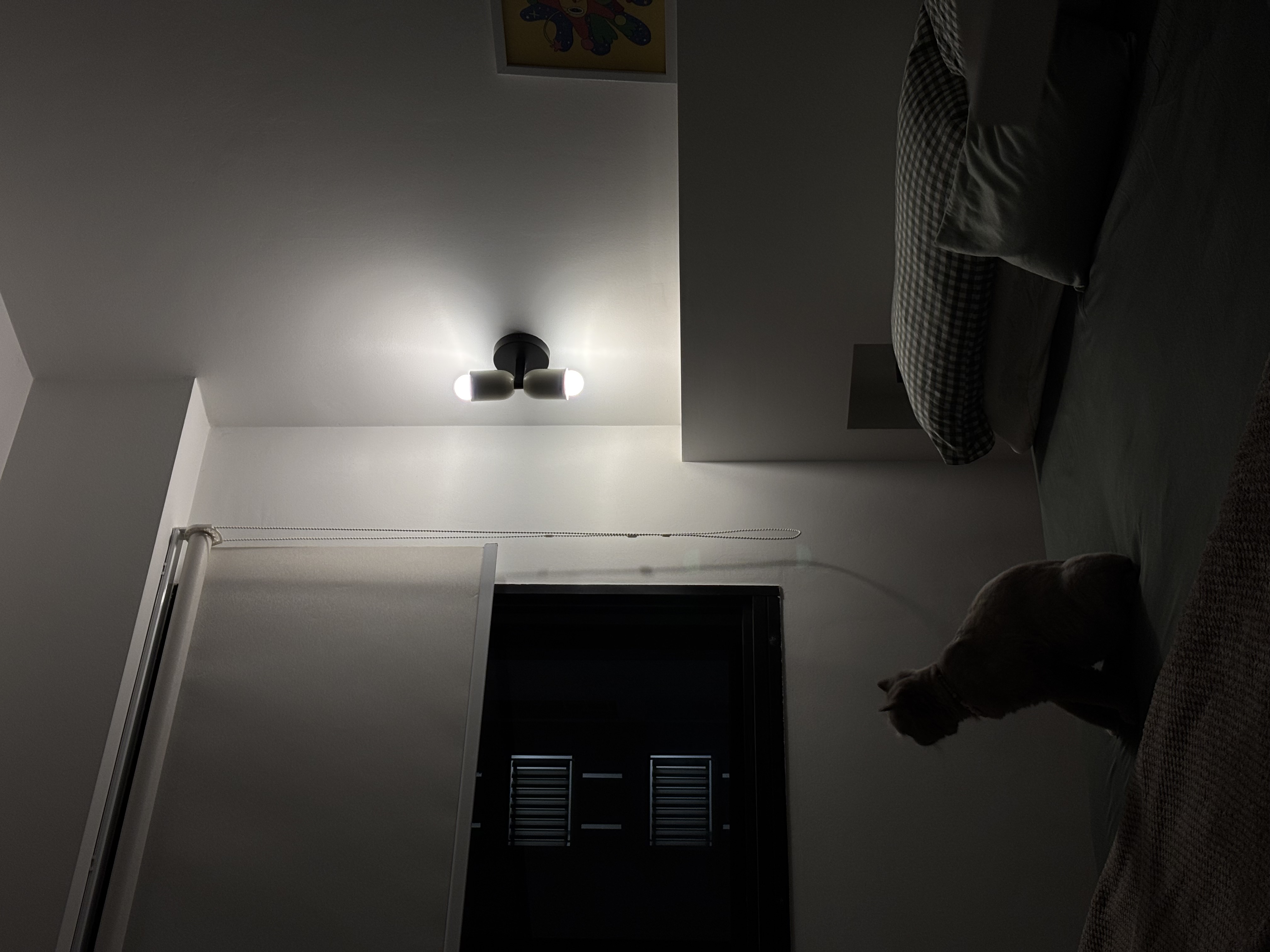 🏮 Mood Lighting 101