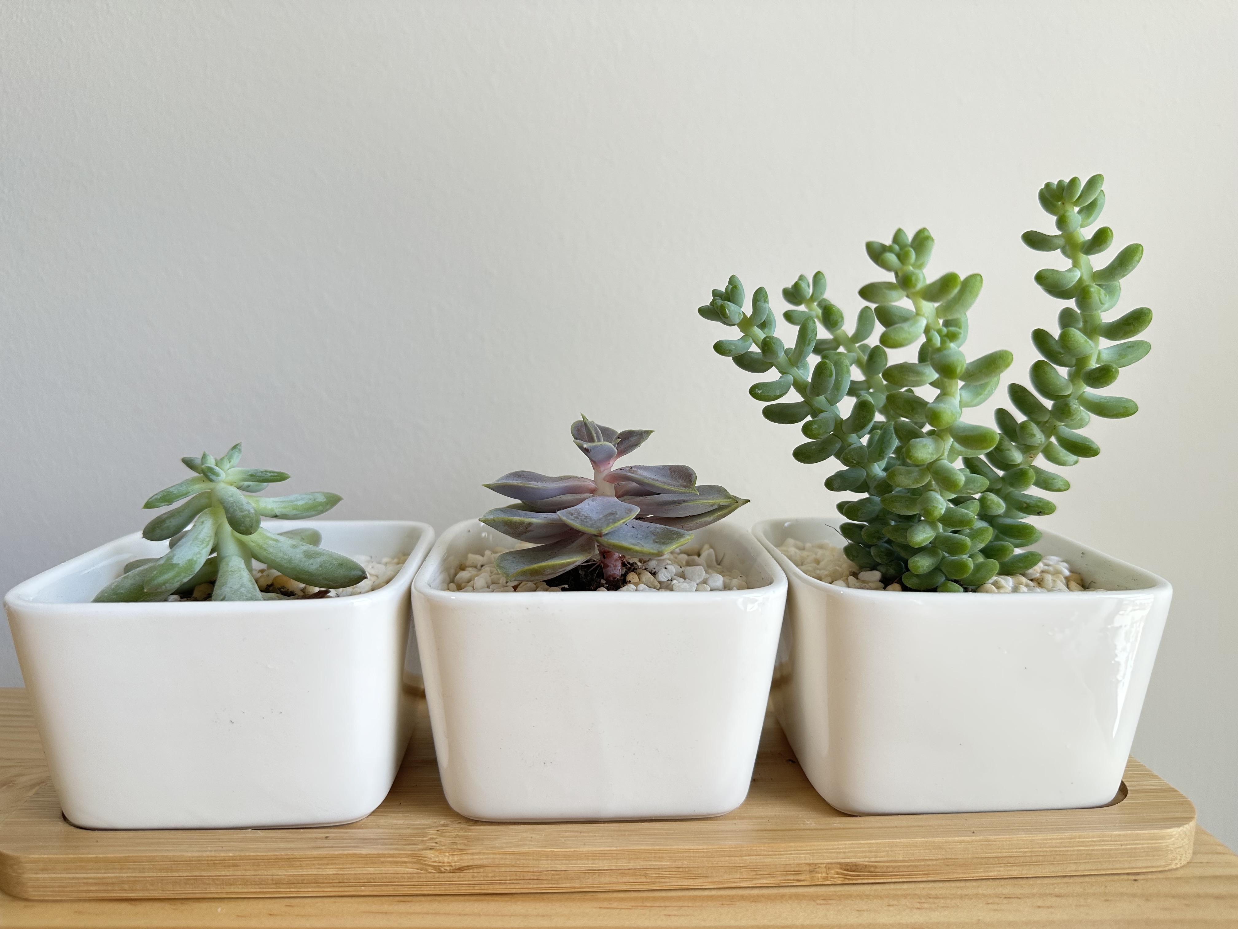 Our study area: Less Clutter, More Clarity