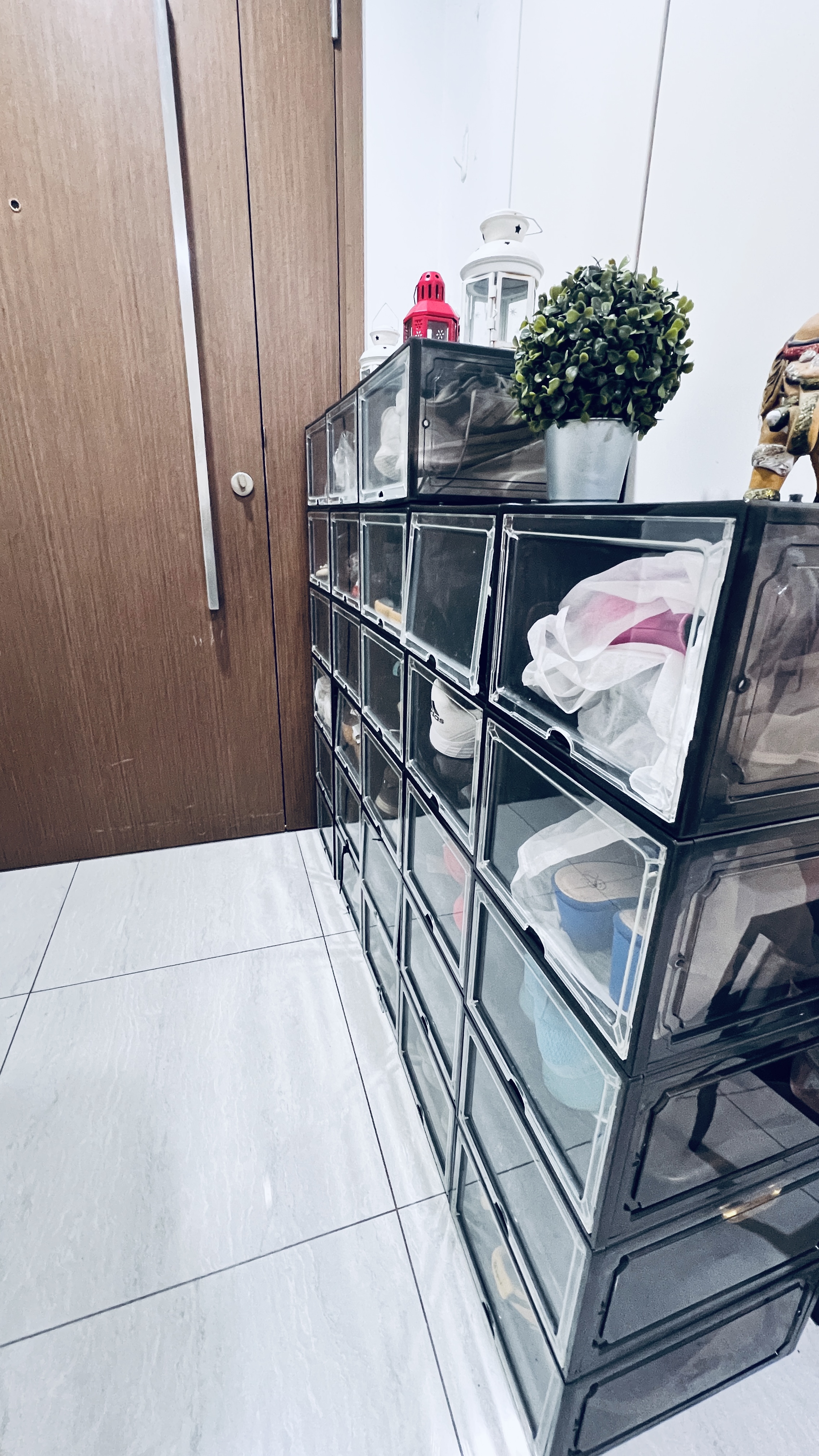 How-do-l-organize-all-of-my-shoes-🥿?-