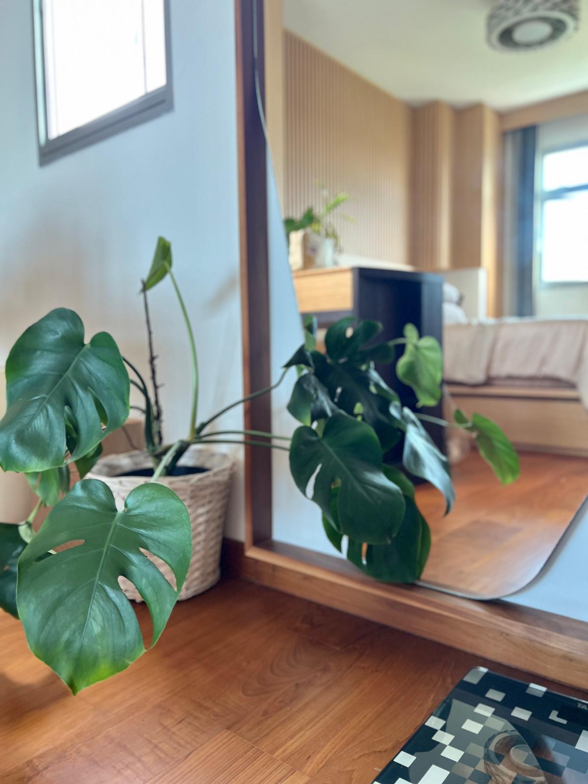 🌿Plants-Around-Our-House-That-Actually-Survived-😅