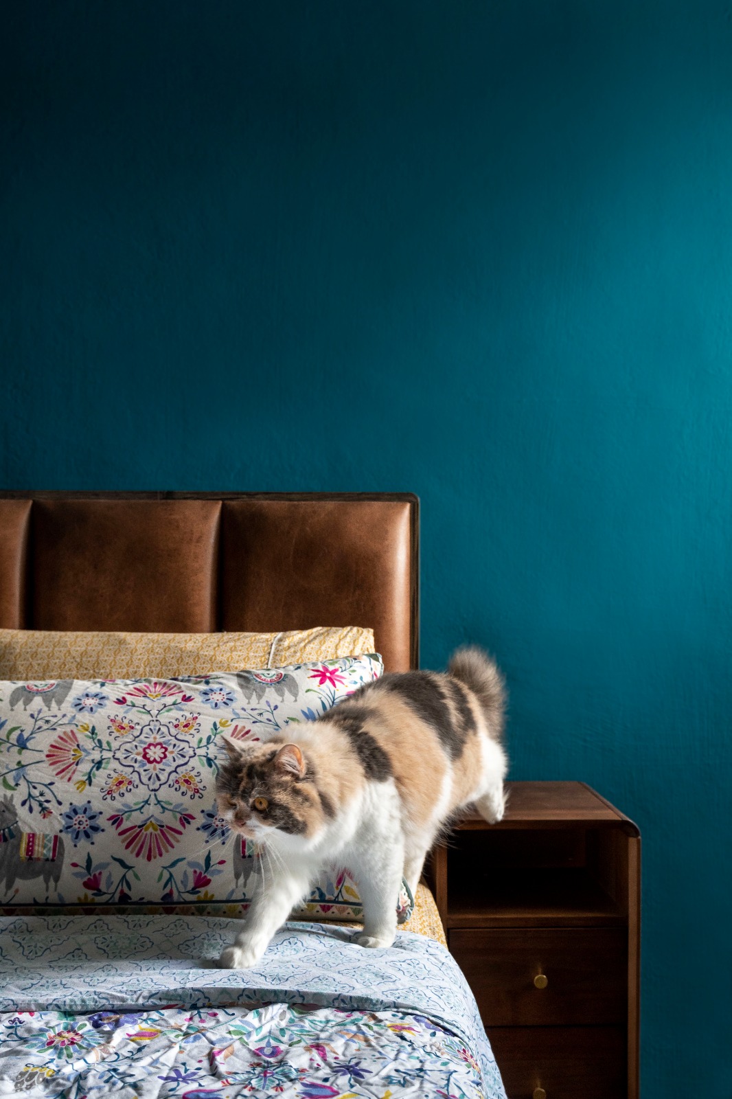 Colourful & quirky, this home is a must-see! 👀