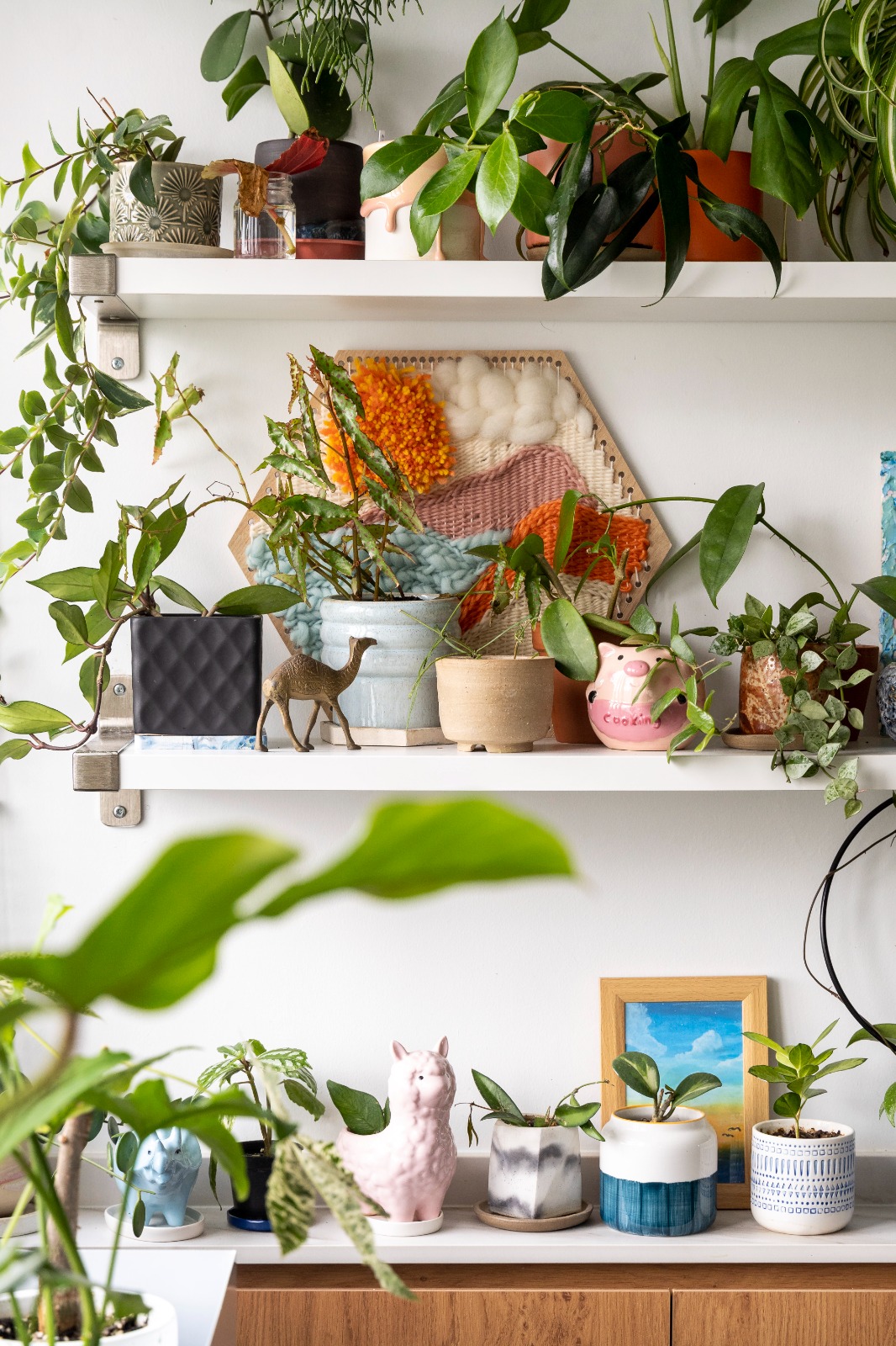 Colourful & quirky, this home is a must-see! 👀