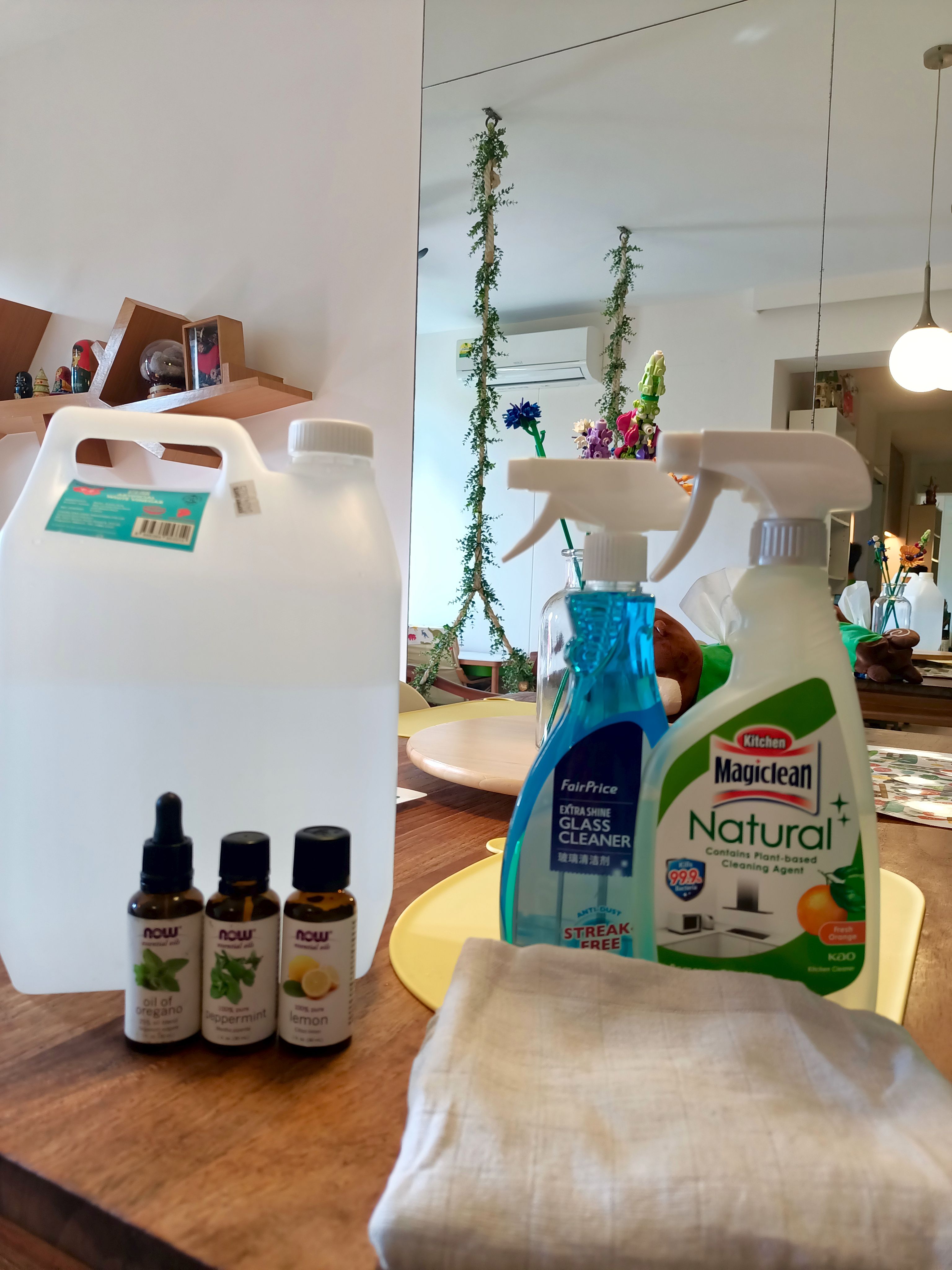 Products And Tools to Fake a Clean Home