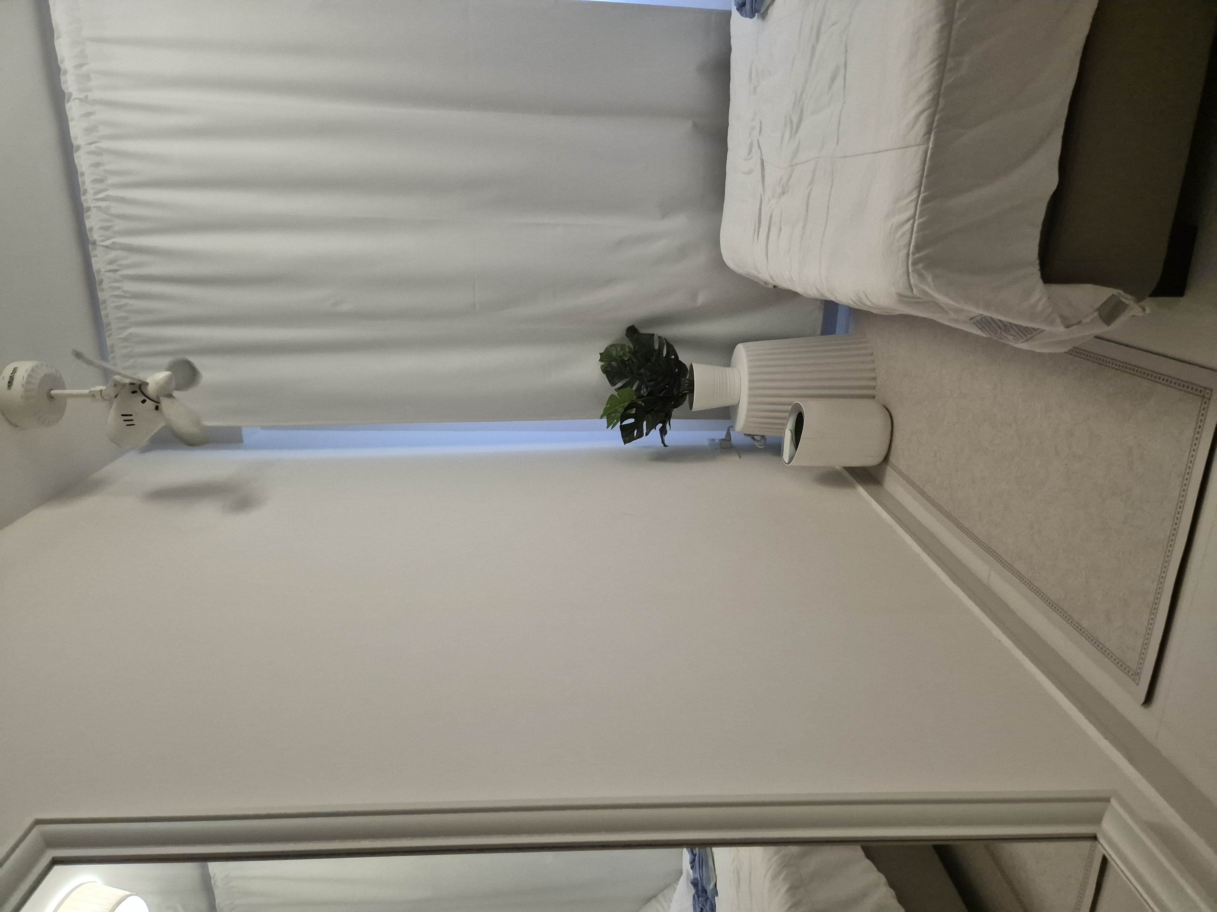 The carpets in our house