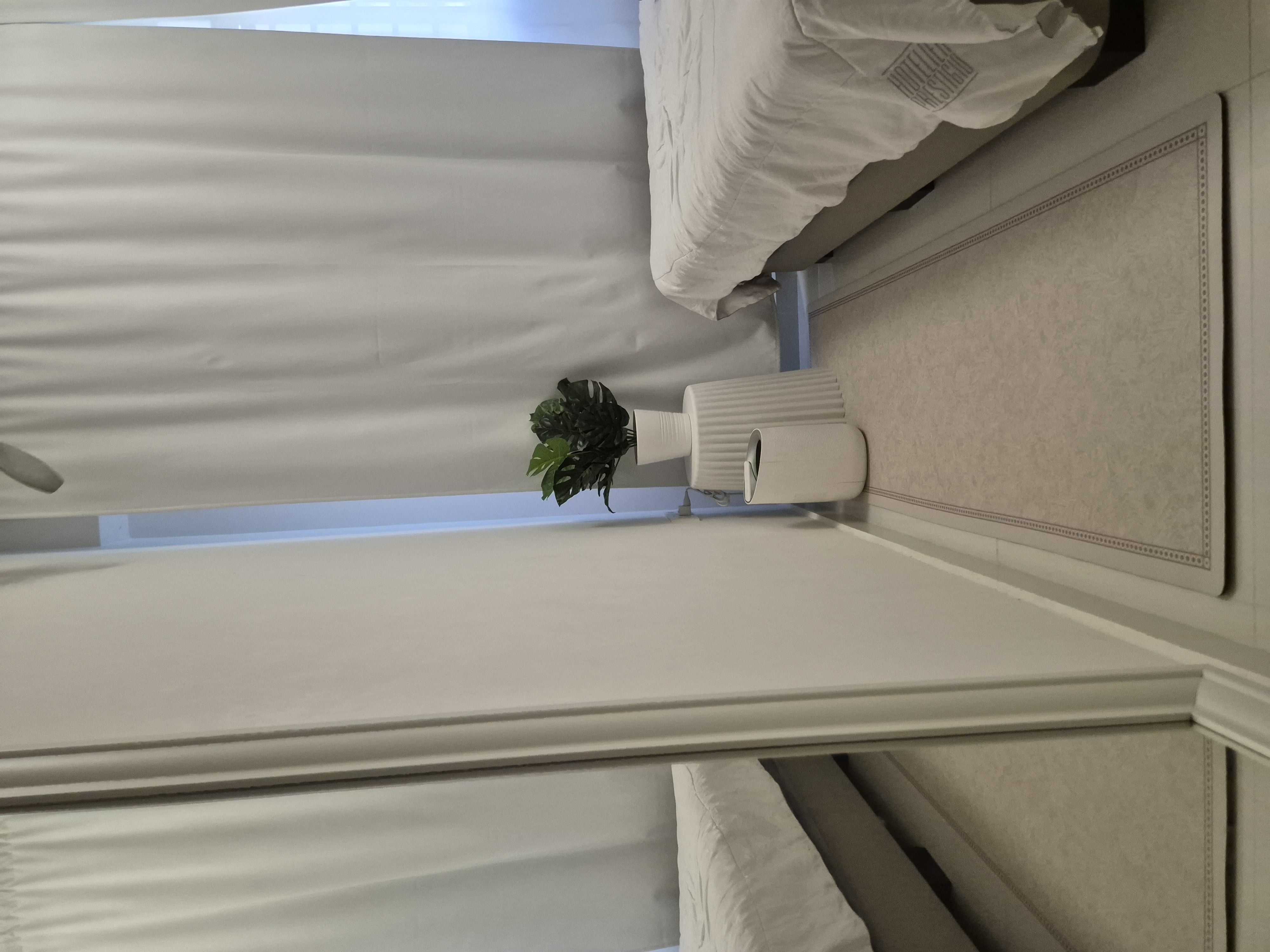 The carpets in our house