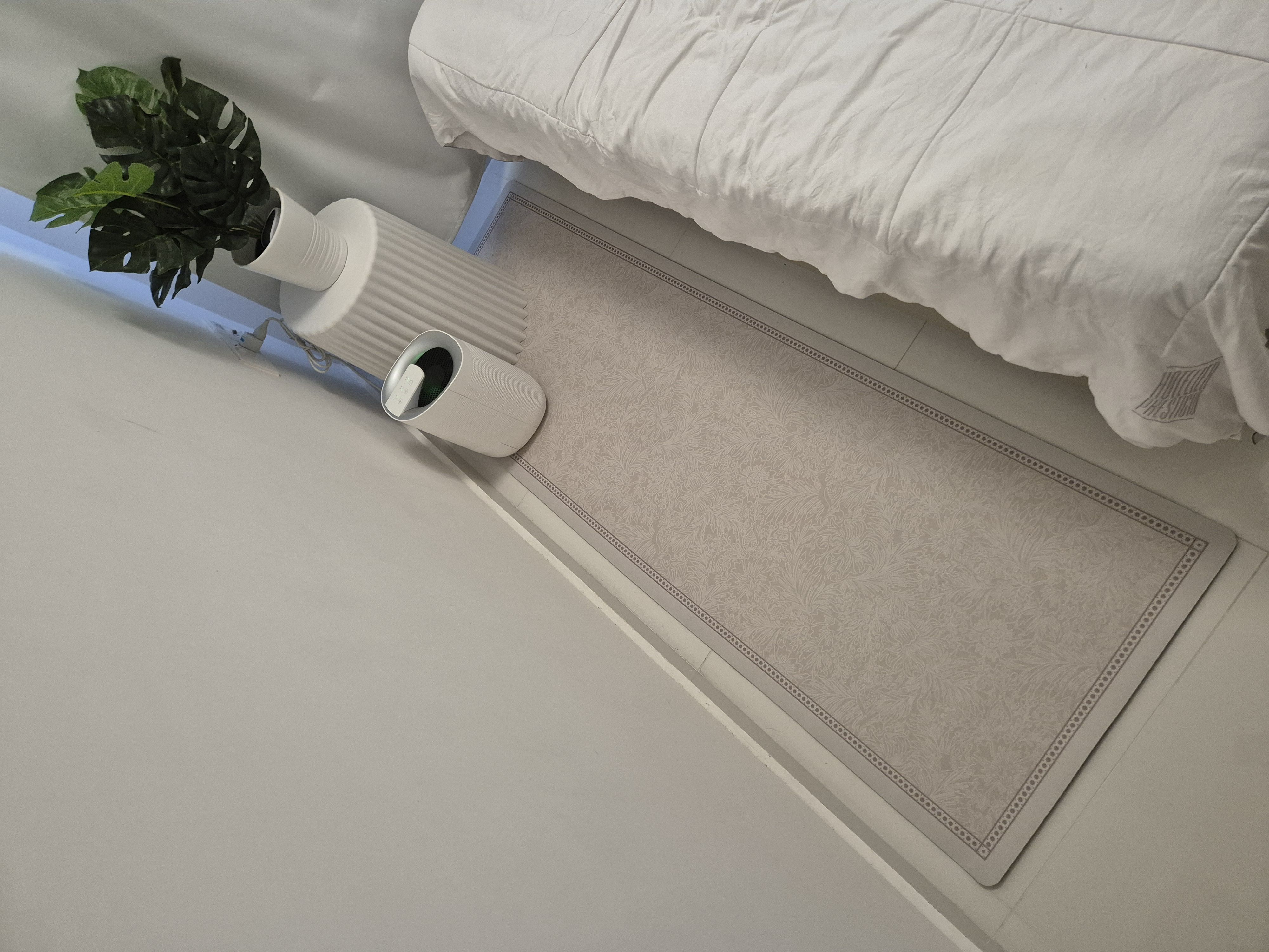 The carpets in our house