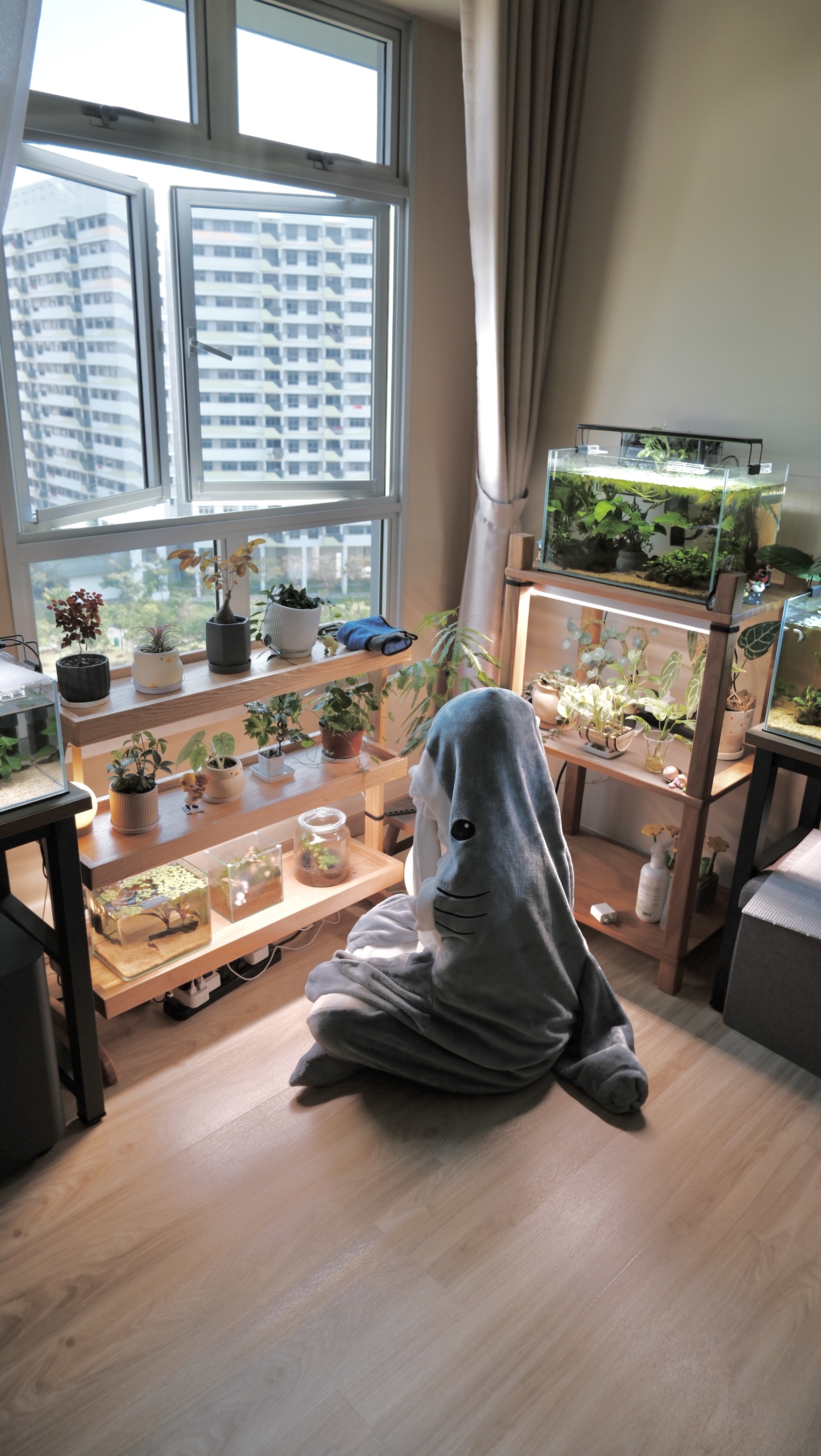 Breaking-These-5-Fengshui-Tips?