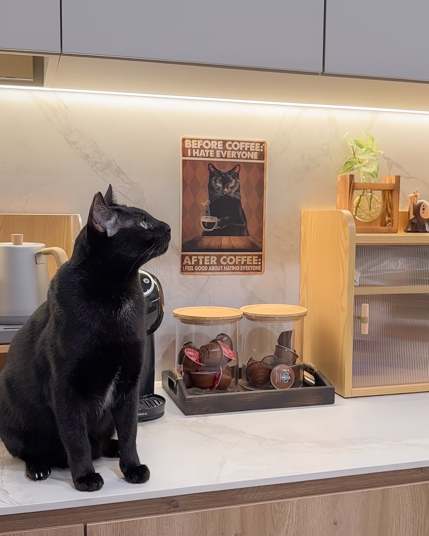 When-Coffee-Meets-Cat-itude-🐈‍⬛-