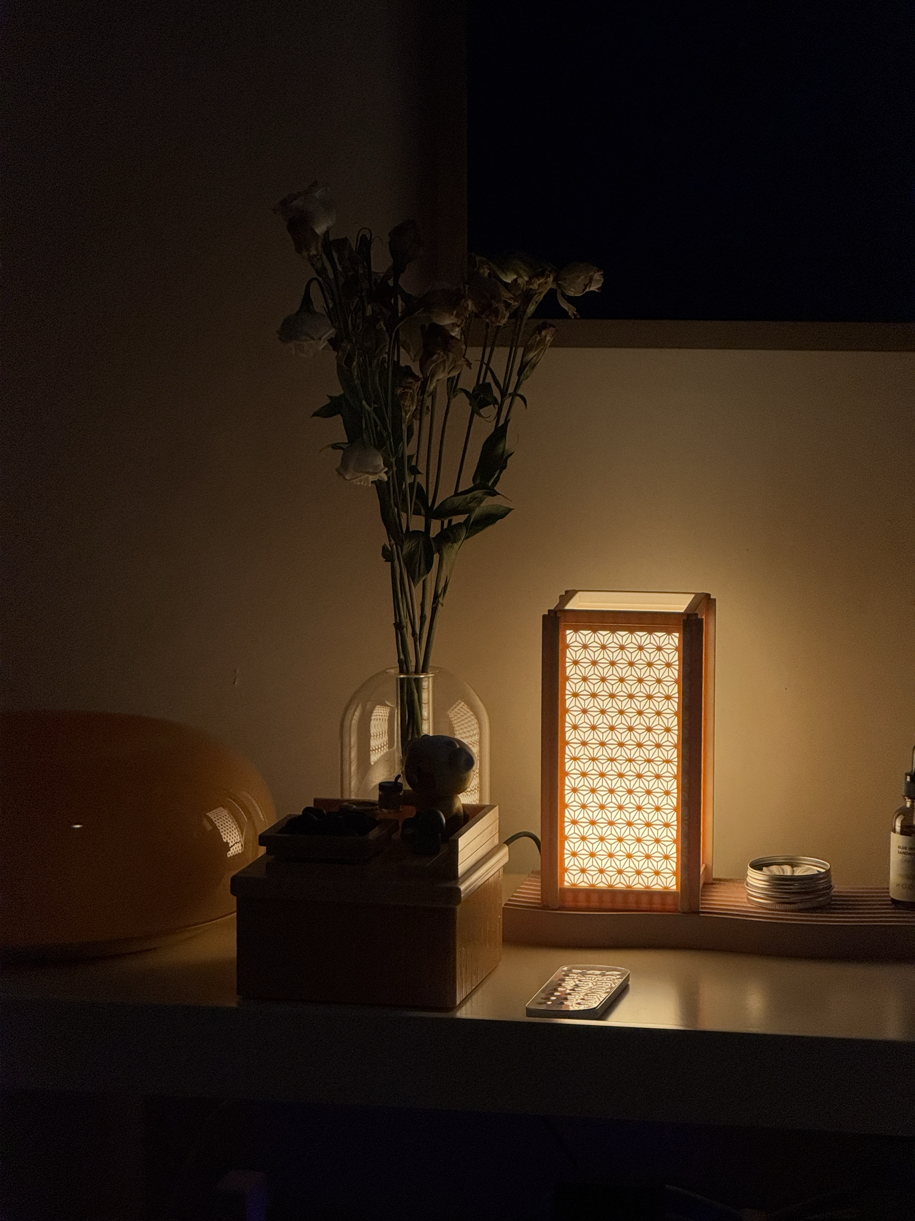 We-bought-a-3D-printer-for-our-home!