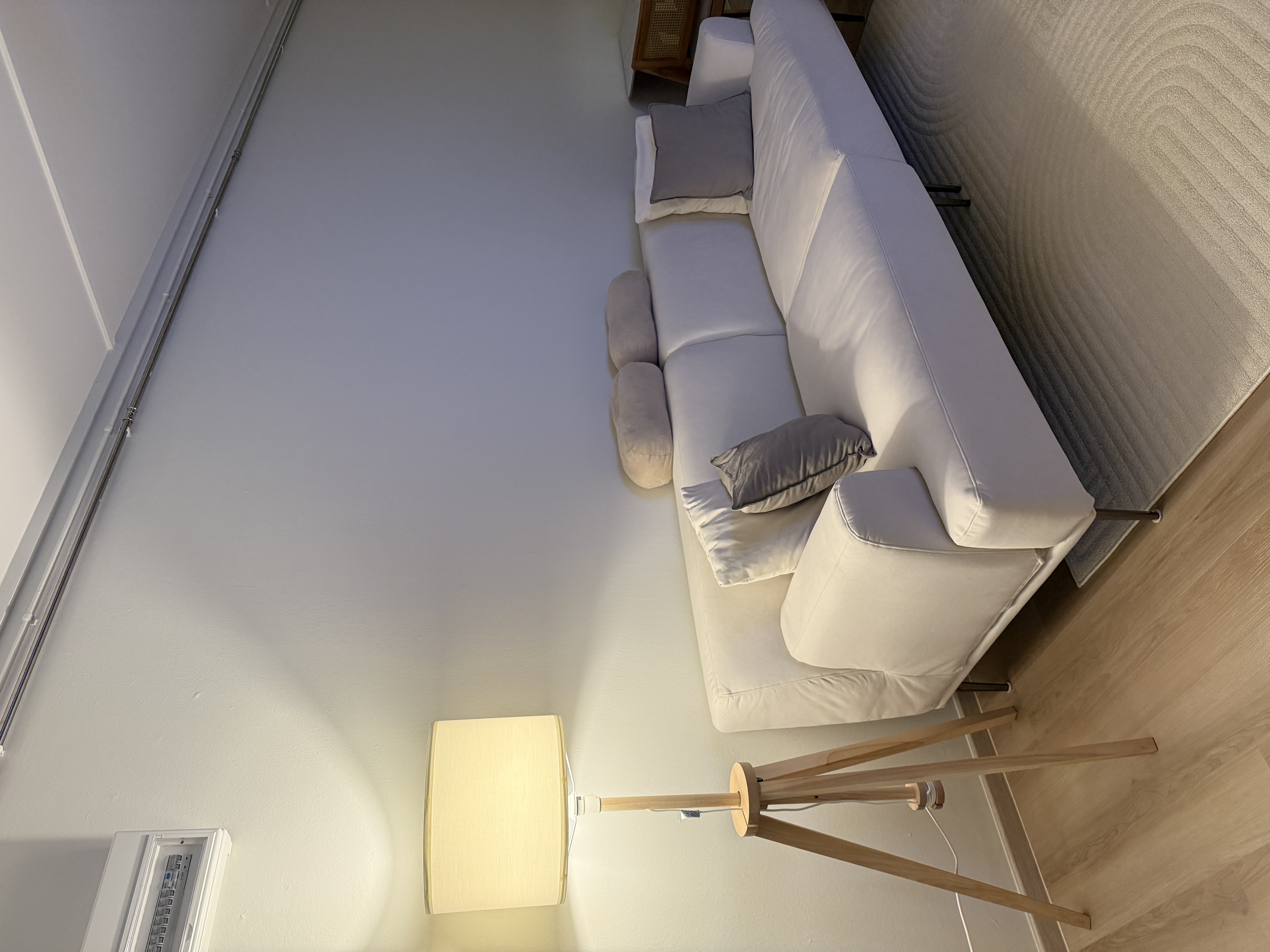 This living room blends minimalist design with warm, natural touches.