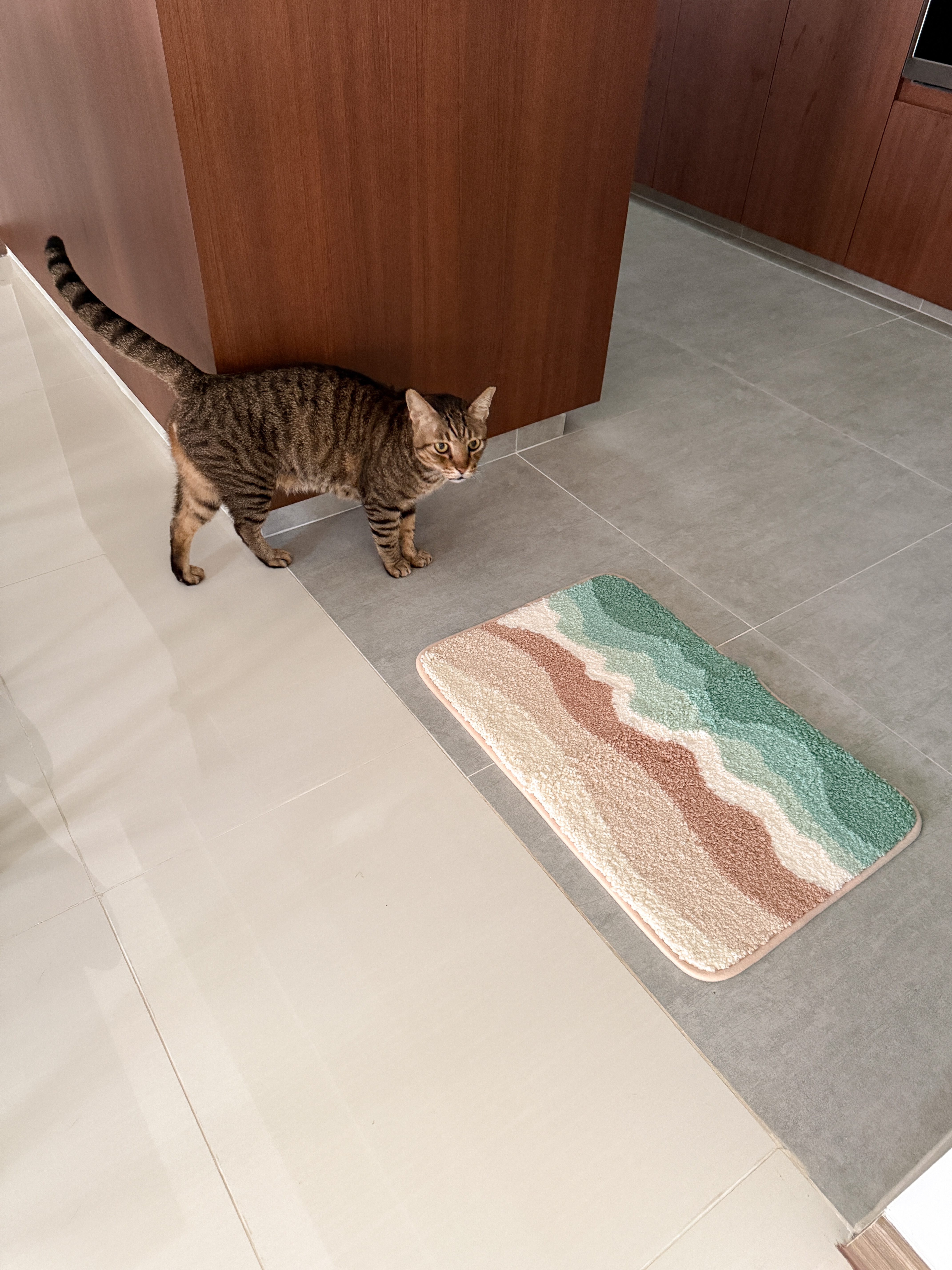 [Unboxing] Hipvan Purchases! Deco & kitchen items!