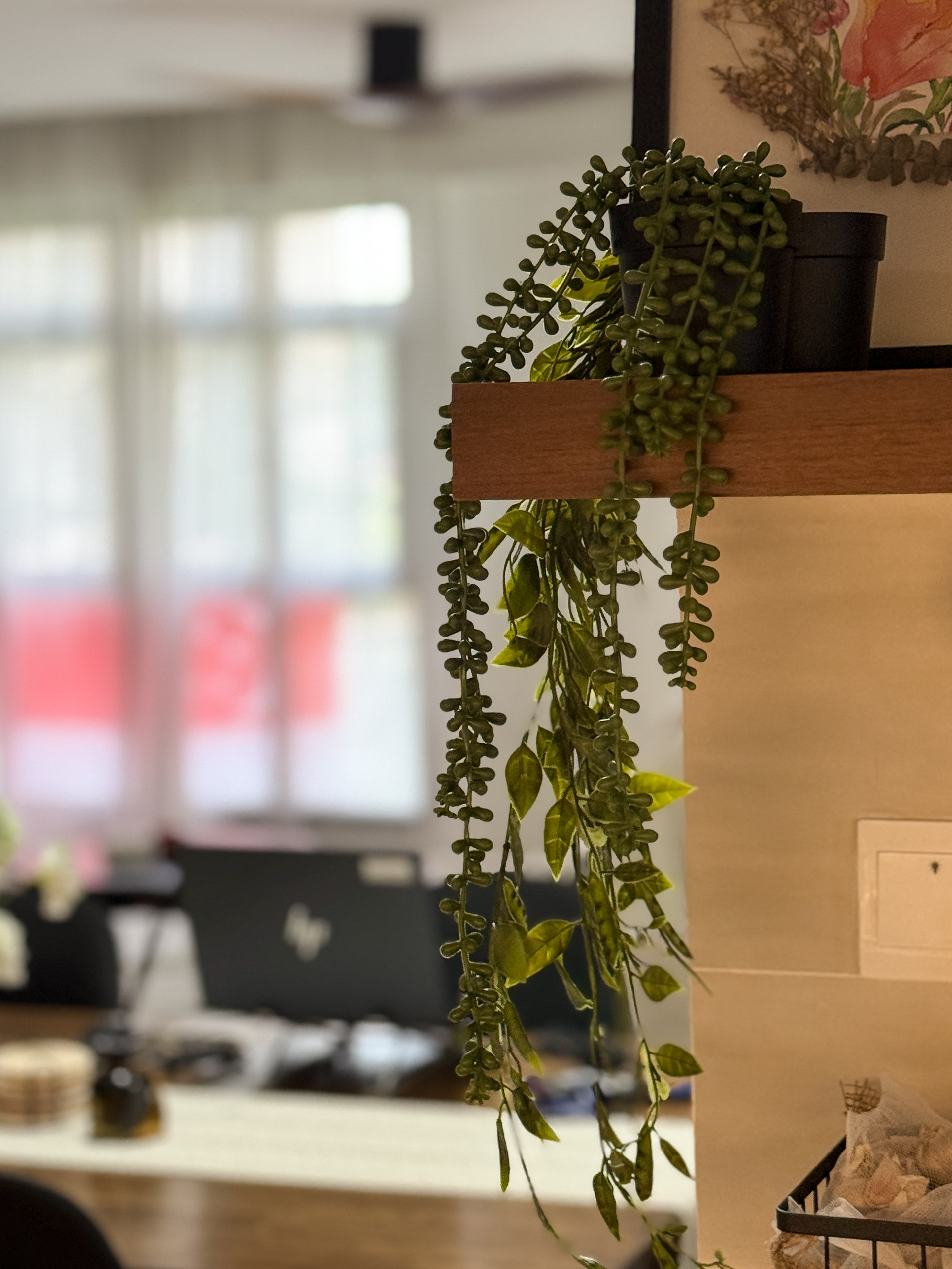 [Unboxing] Hipvan Purchases! Deco & kitchen items!