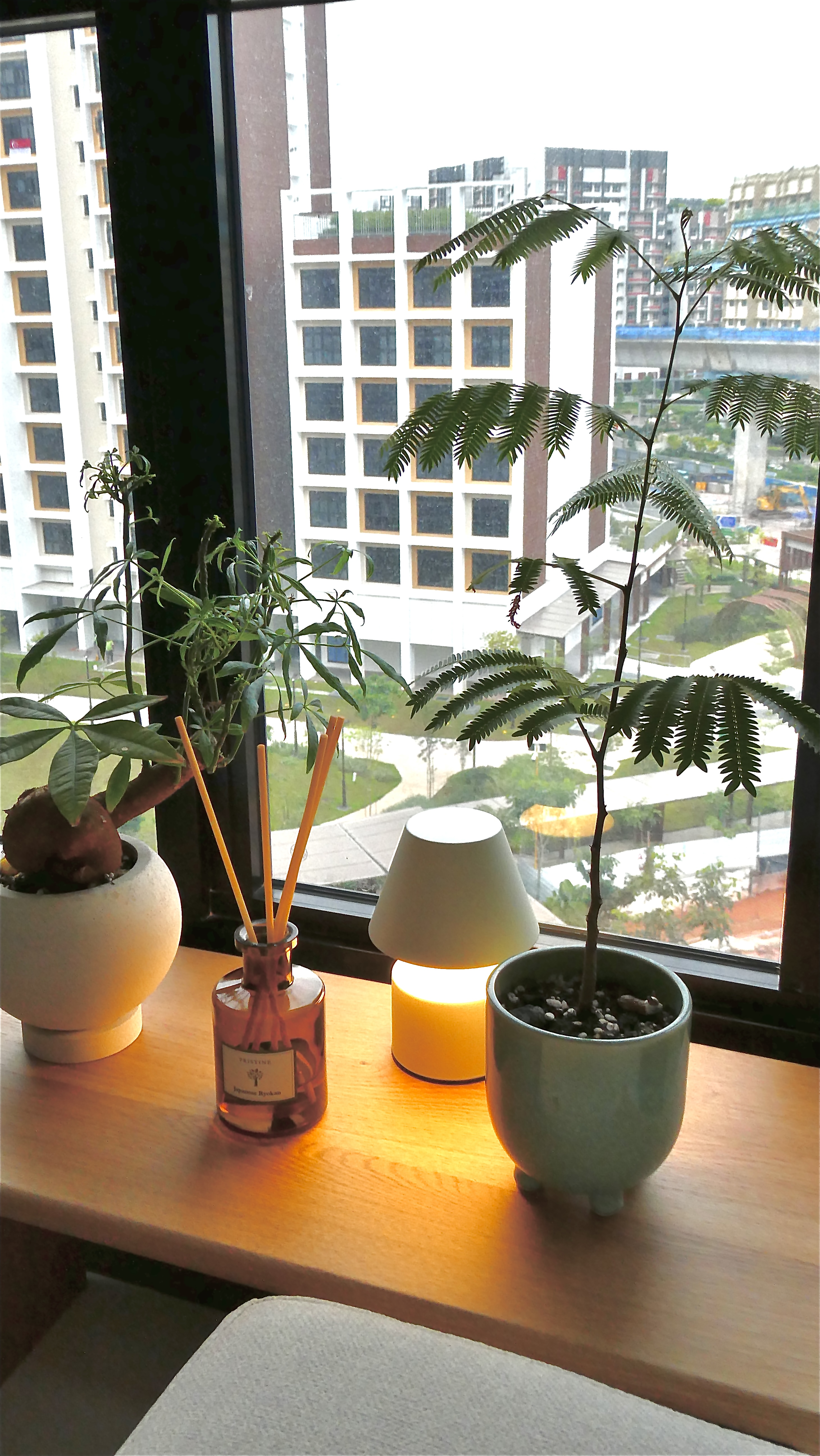 Recent-home-purchases-for-my-Cosy-Japandi-Themed-5RM-HDB