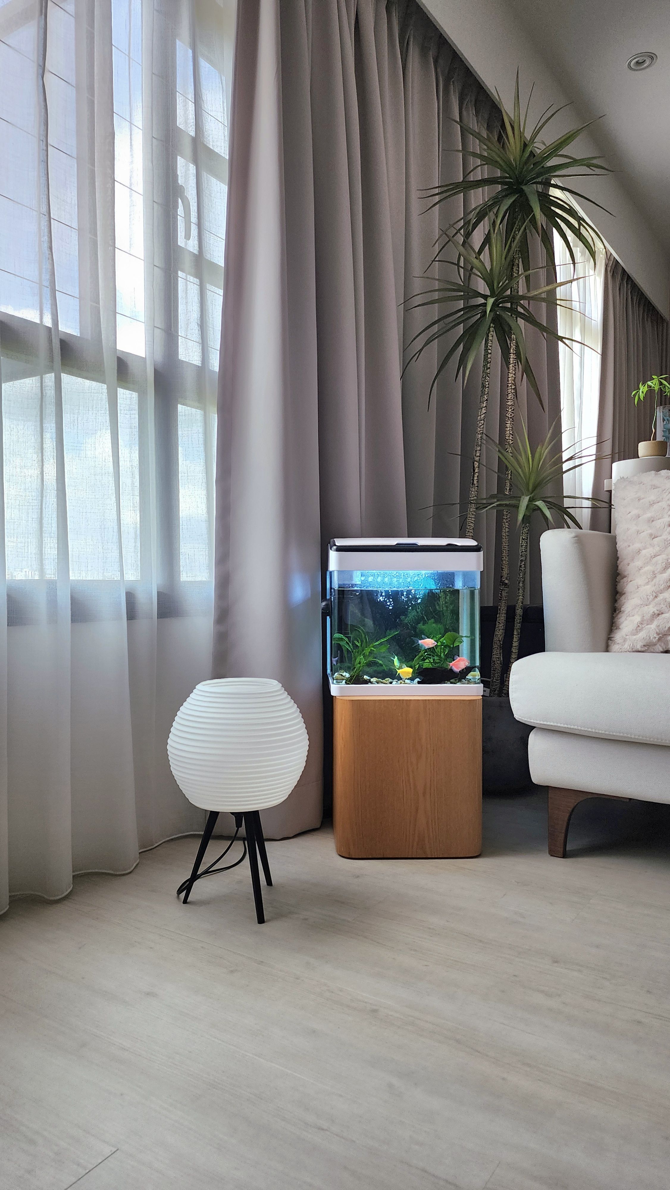 Our Unplanned Calm Corner: A Little Life at Home 🐟