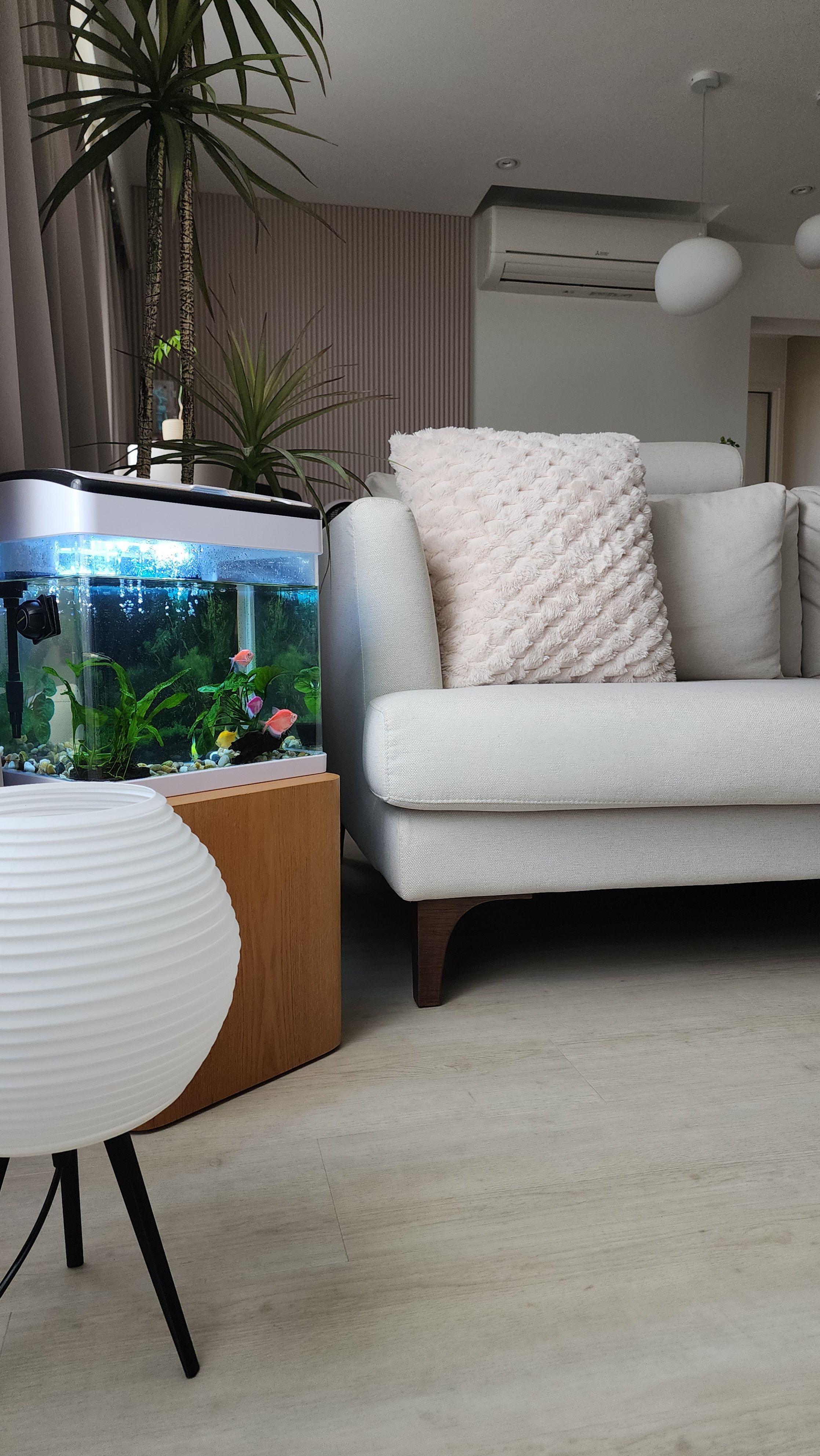 Our Unplanned Calm Corner: A Little Life at Home 🐟