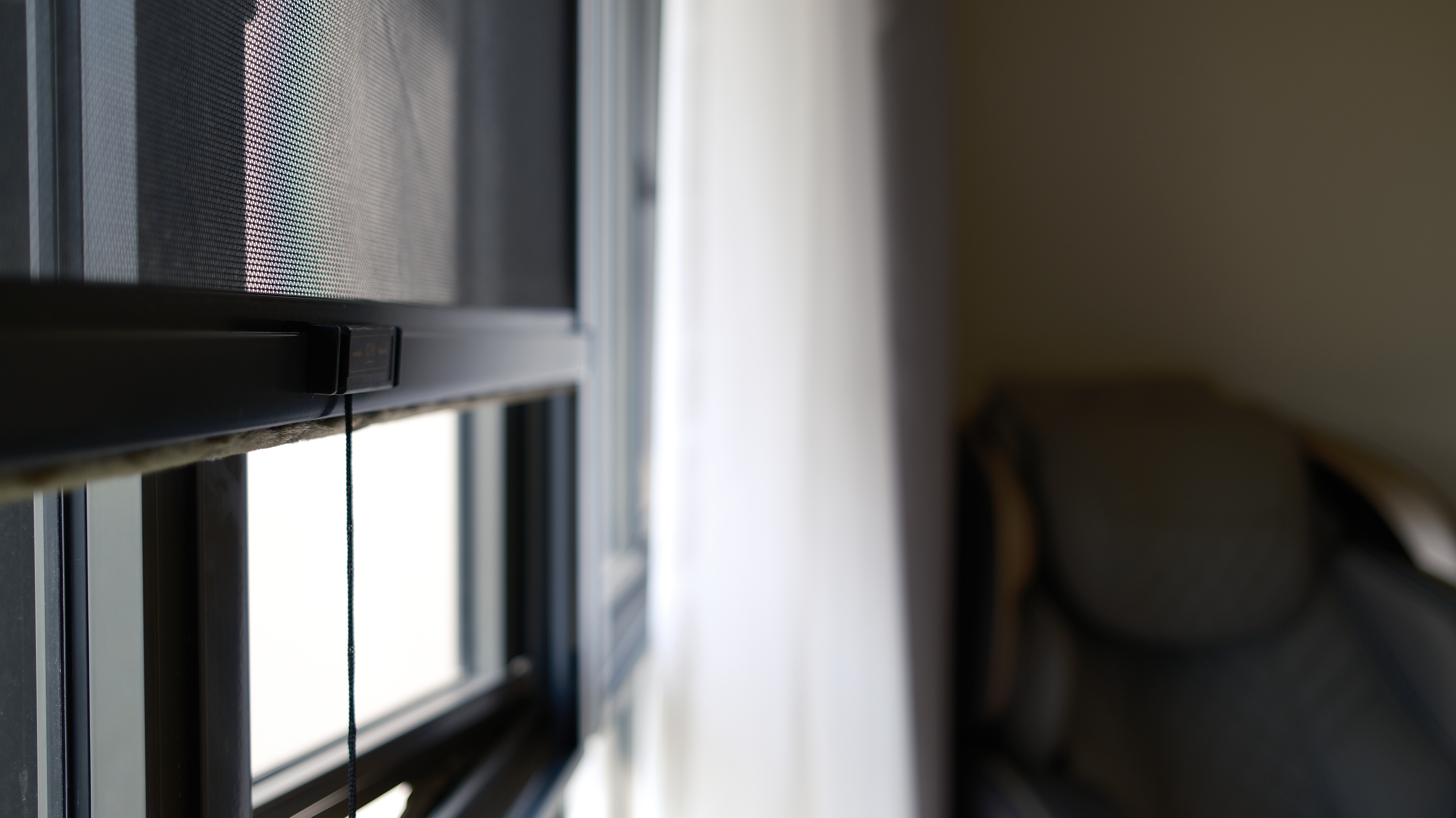 5 Home Decisions With Our Cat In Mind