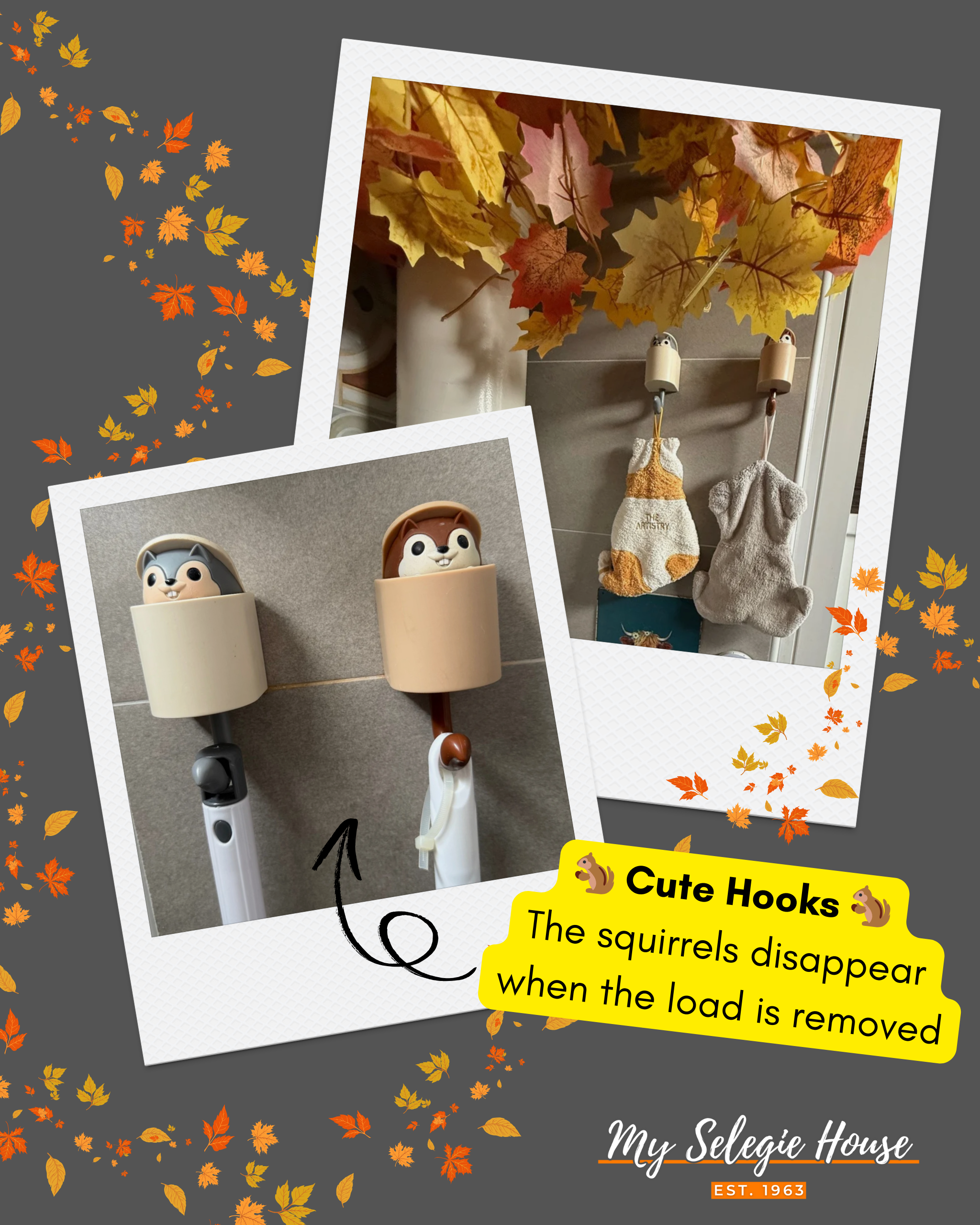 The Great “Toilet” Debate: Over or Under?