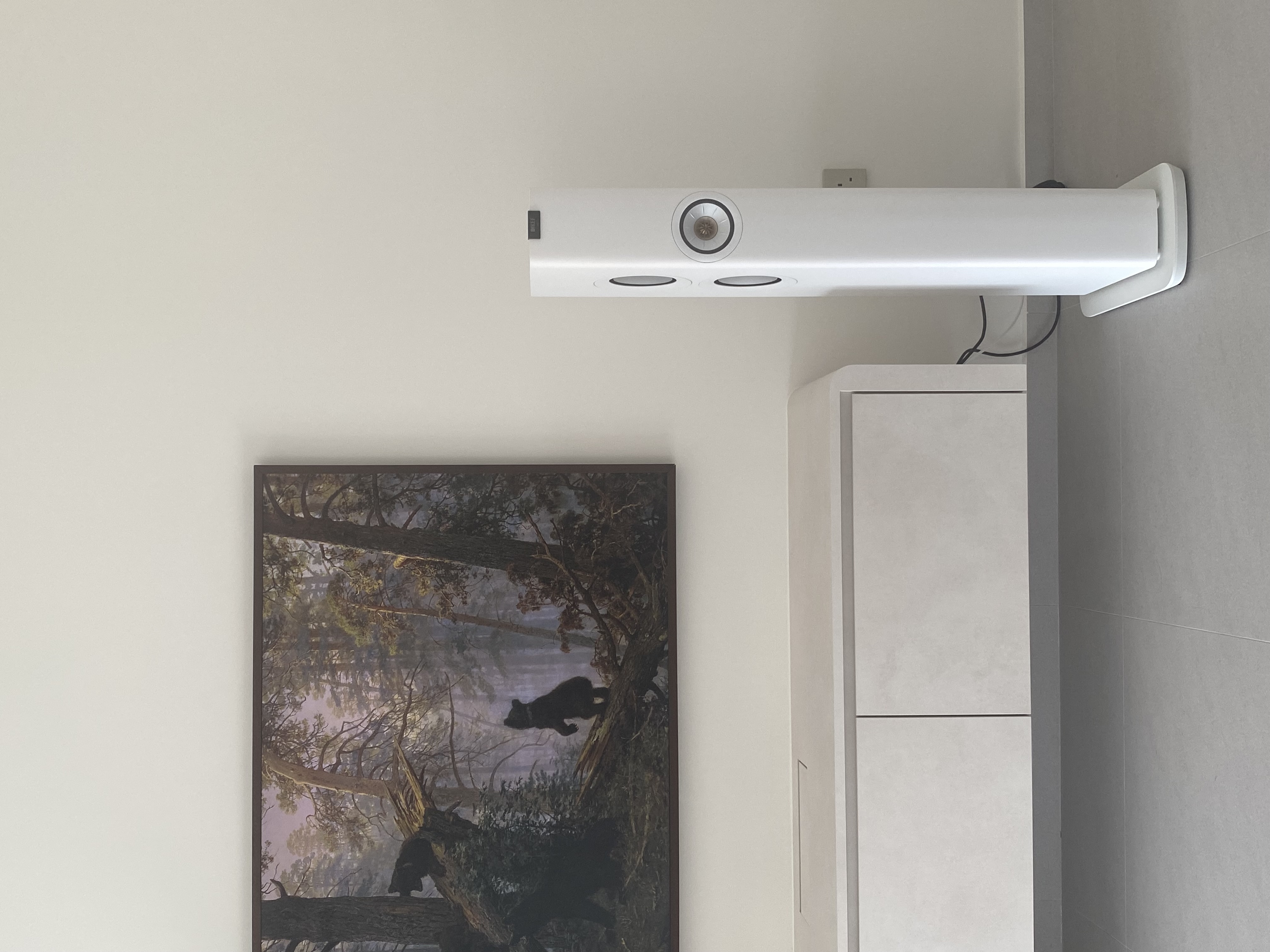 Living Room: Reno Decisions & Products