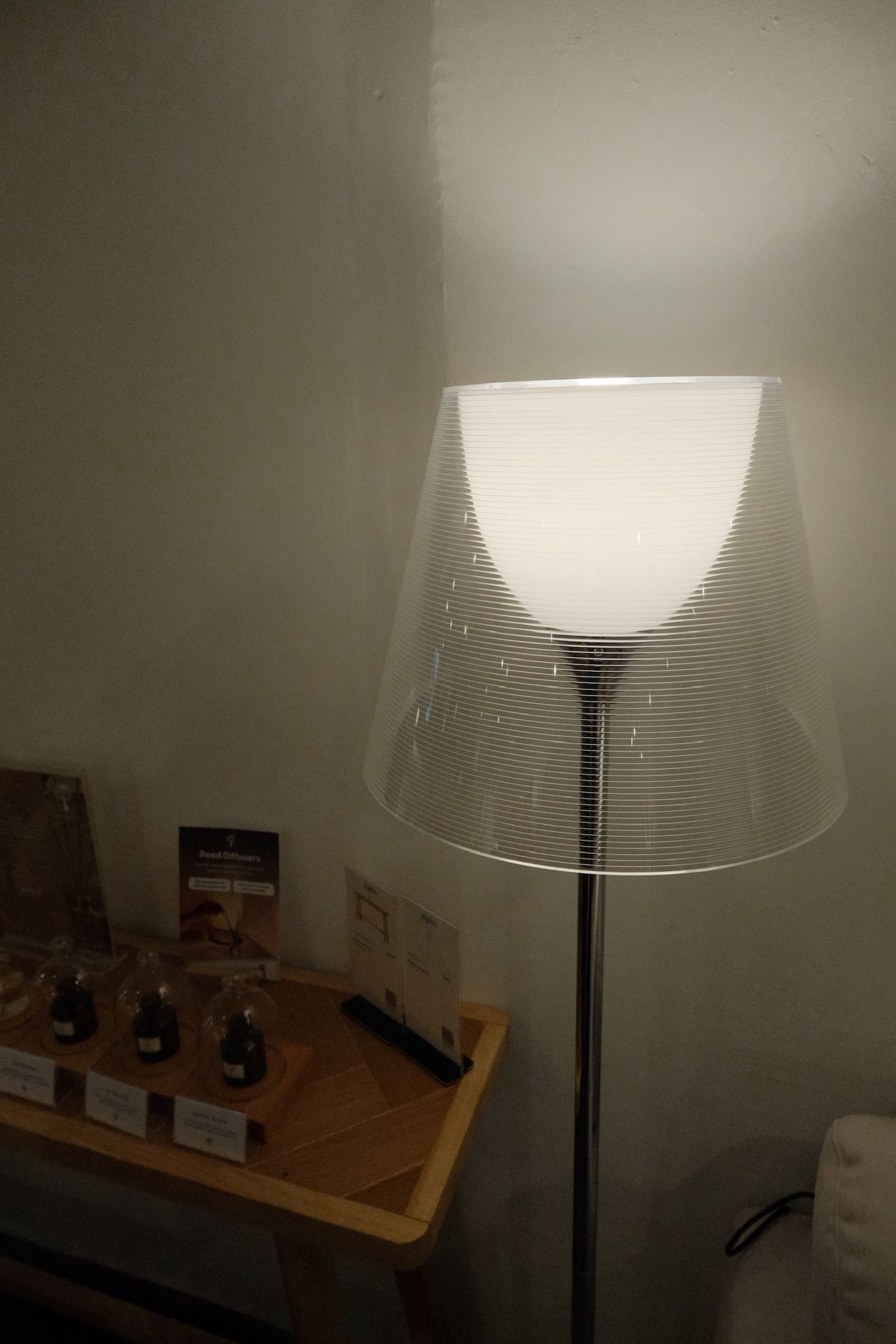 Top Finds at HipVan Showroom!✨