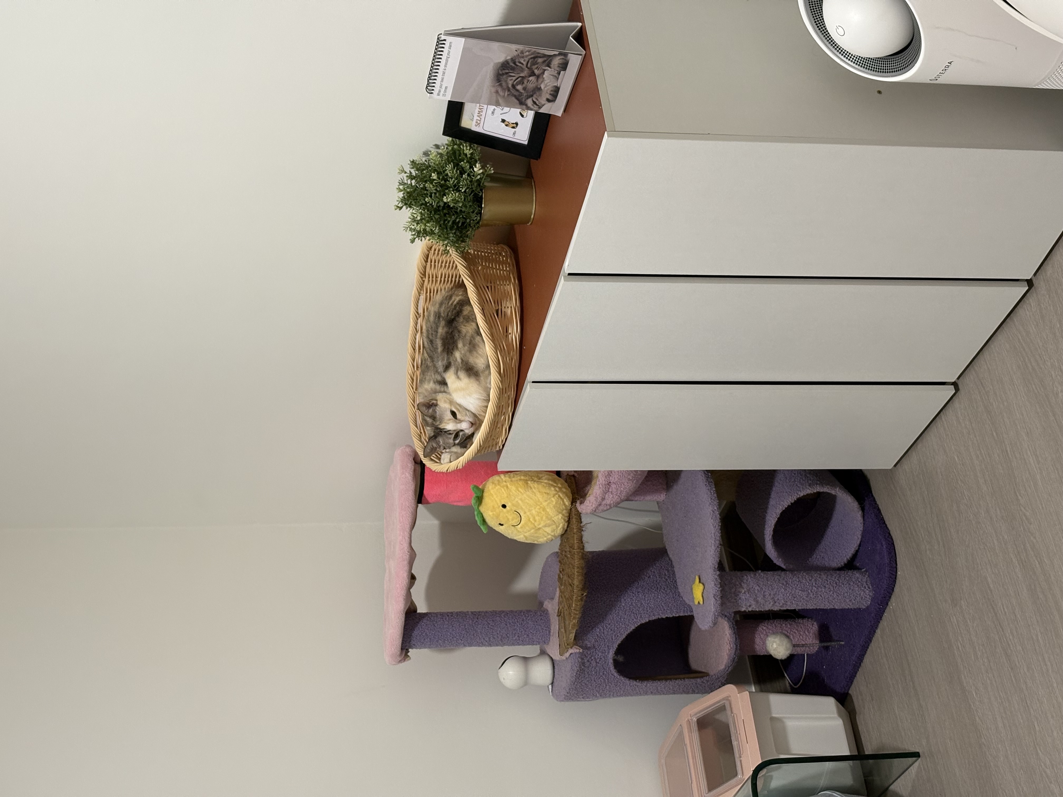 The before and after of our Dream Home ❤️