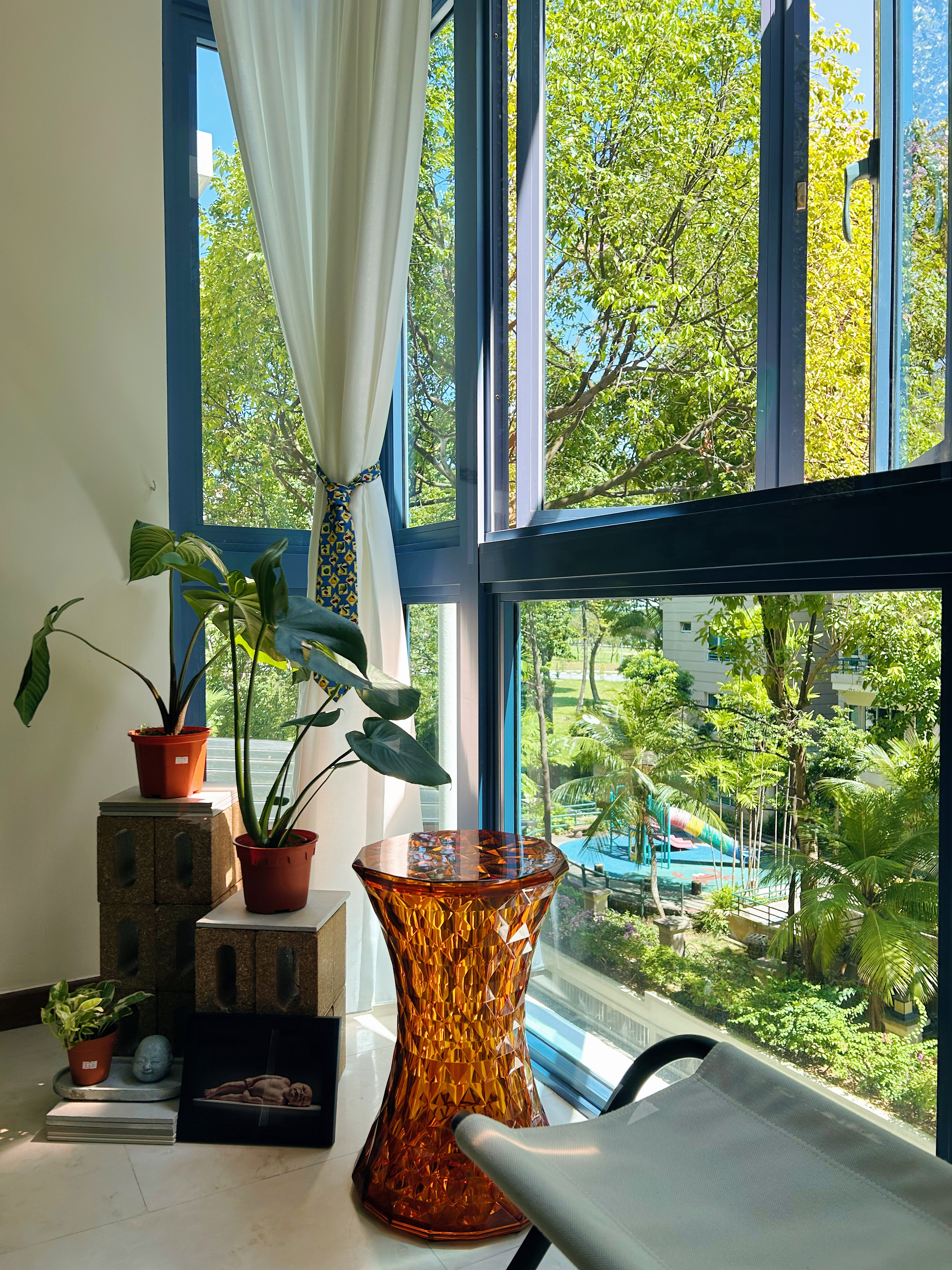 A day with my plants - Sunlit Moments!
