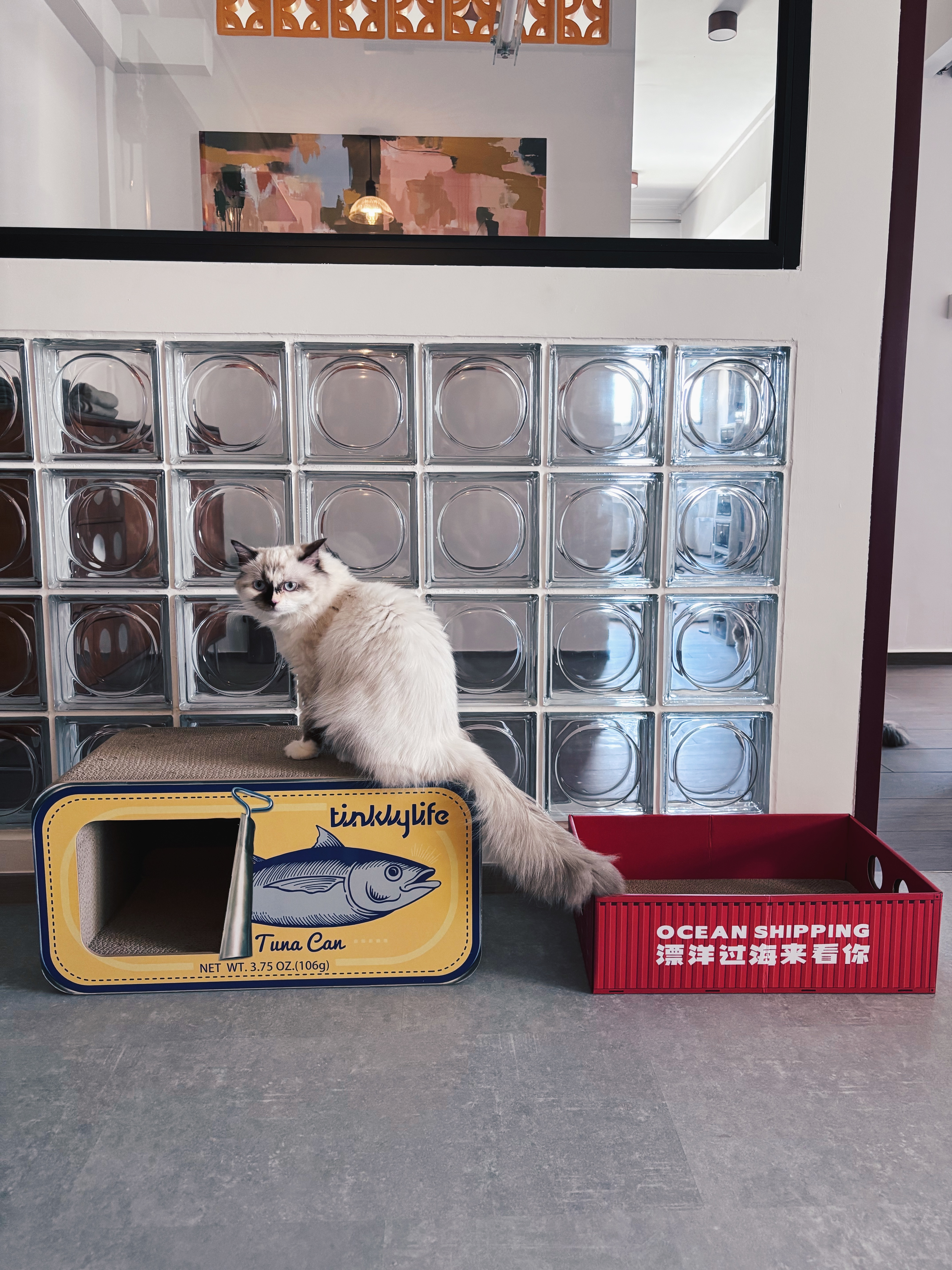 Dopamine-Decor-for-the-Home-(and-Cats!-🐈)