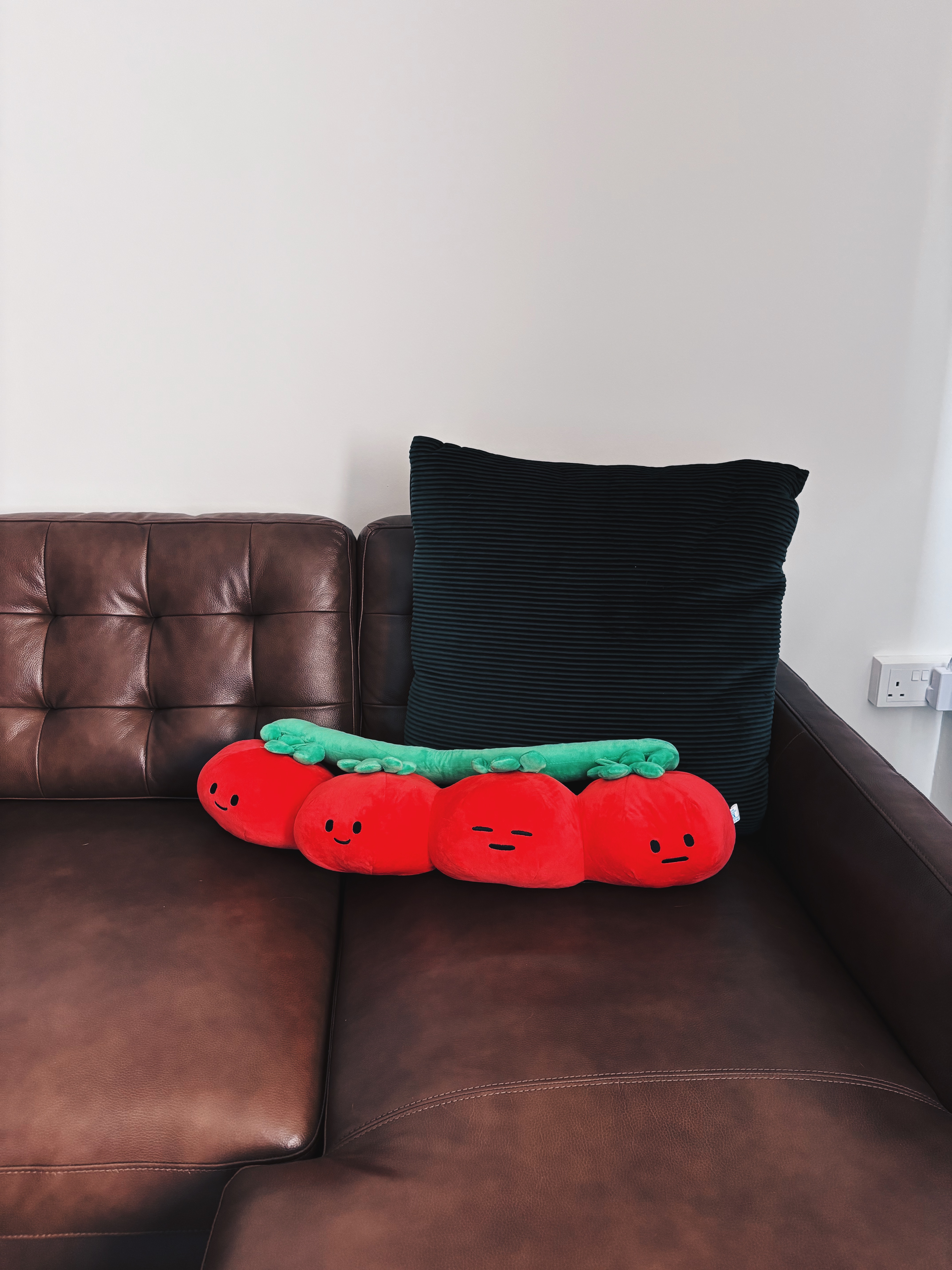 Dopamine Decor for the Home (and Cats! 🐈)