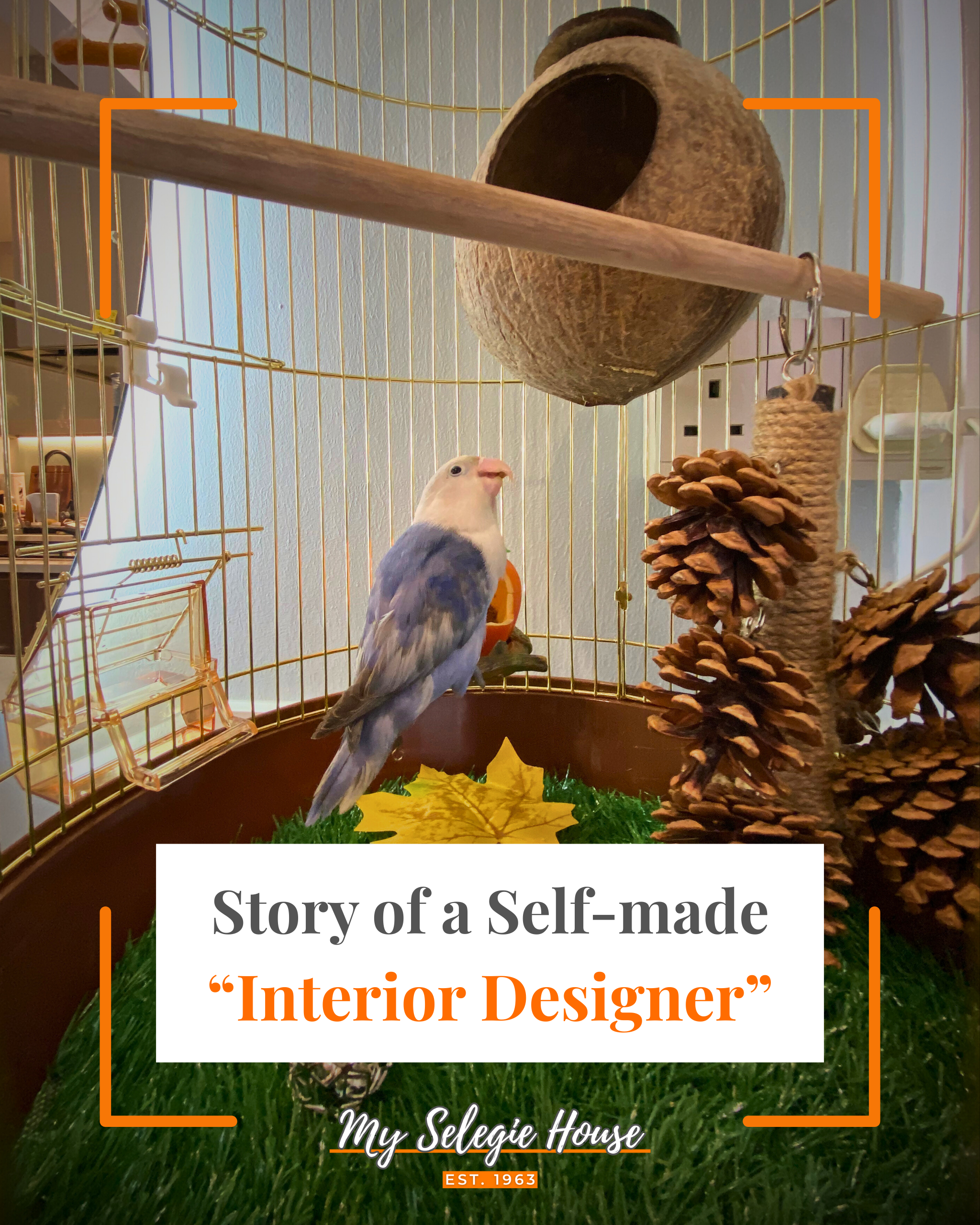 Why-Pay-for-Interior-Designers-when-You-Can-Design-It-Yourself?