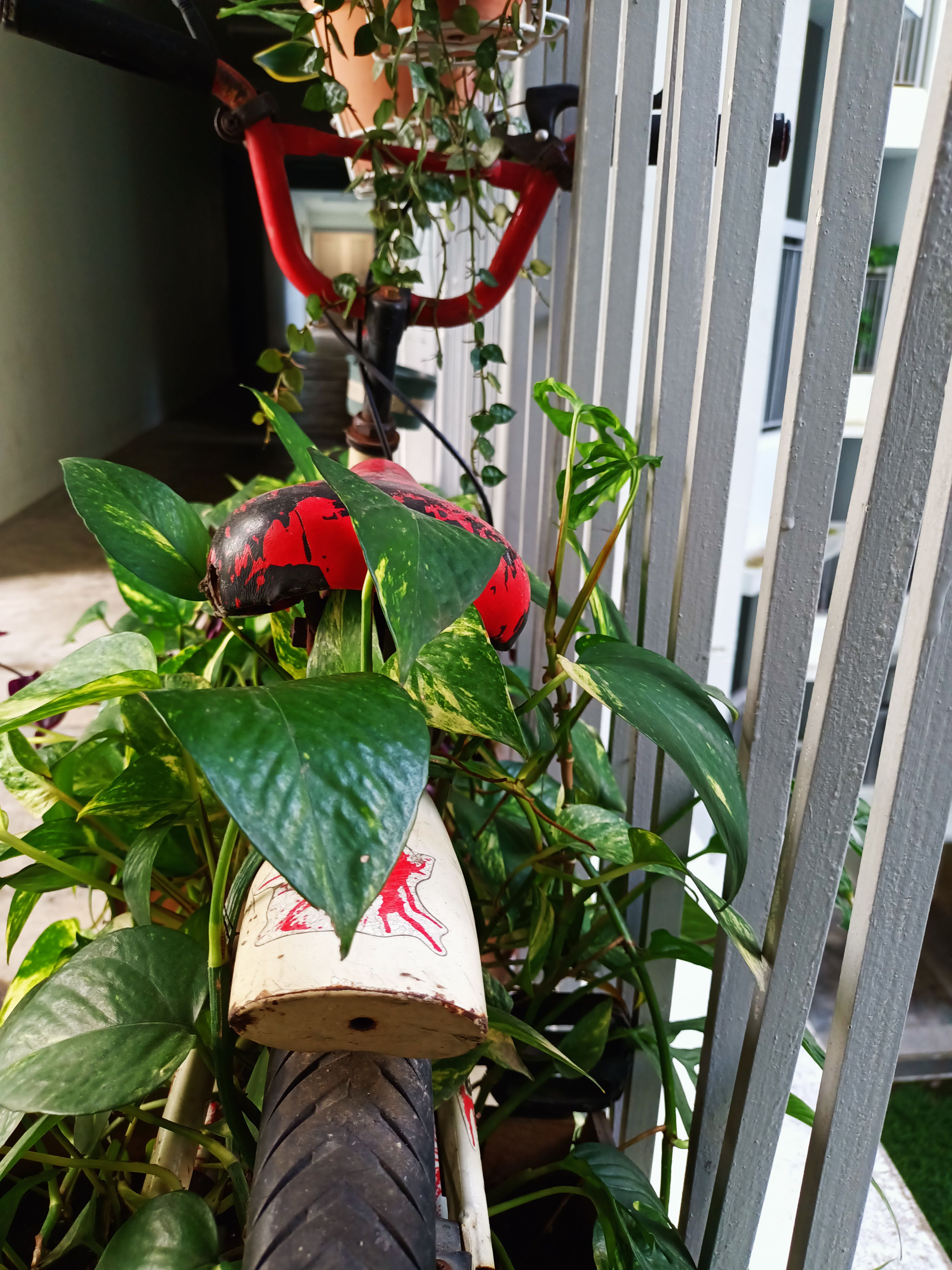 Child-Memento:-Bicycle-Trellis