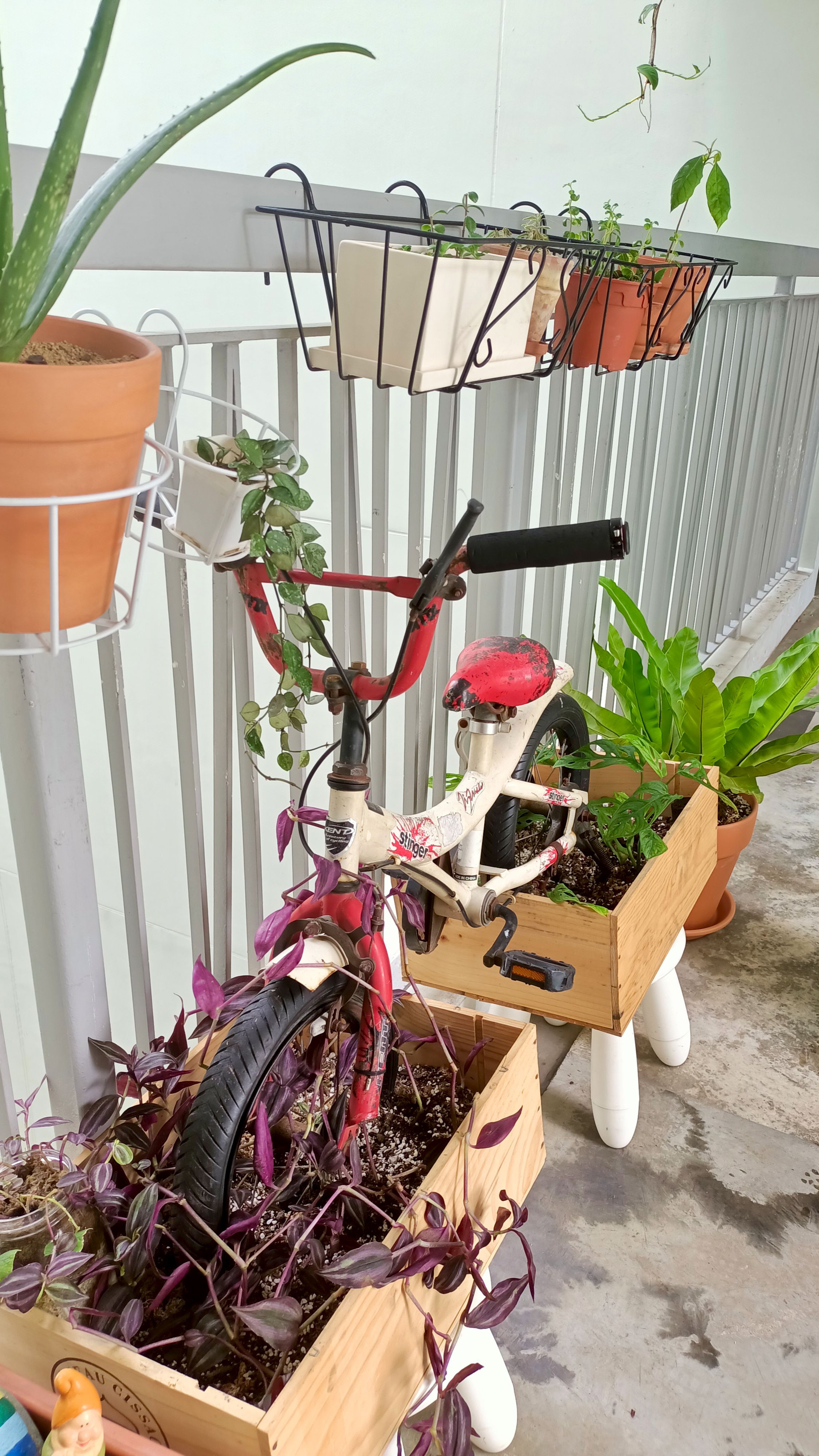Child Memento: Bicycle Trellis