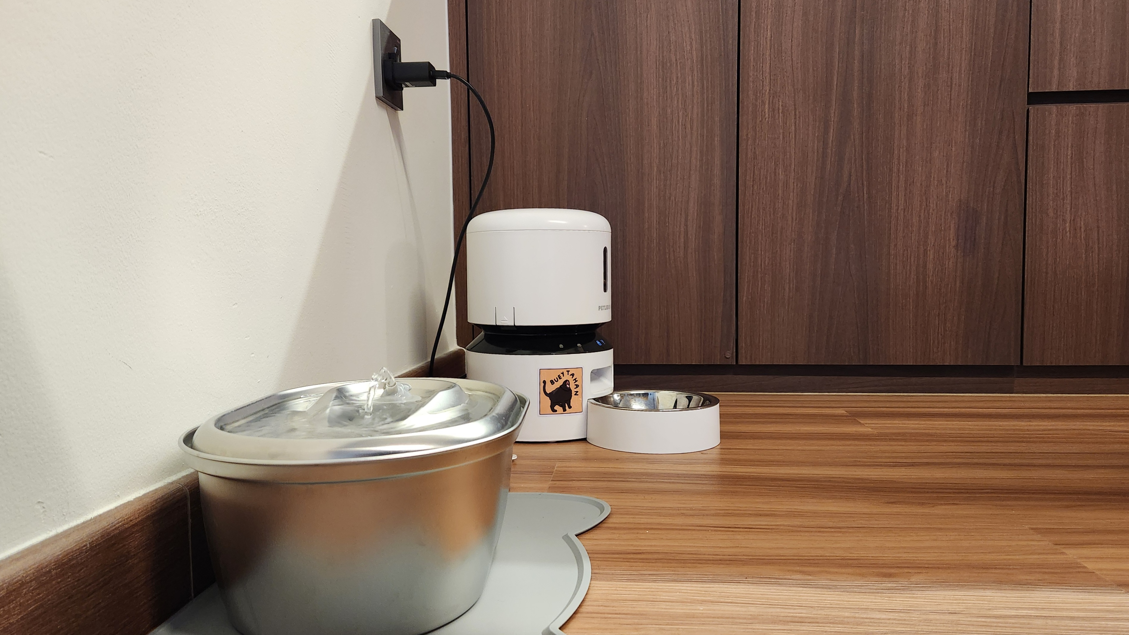 The Cat Reviews: What She Likes About Her Home