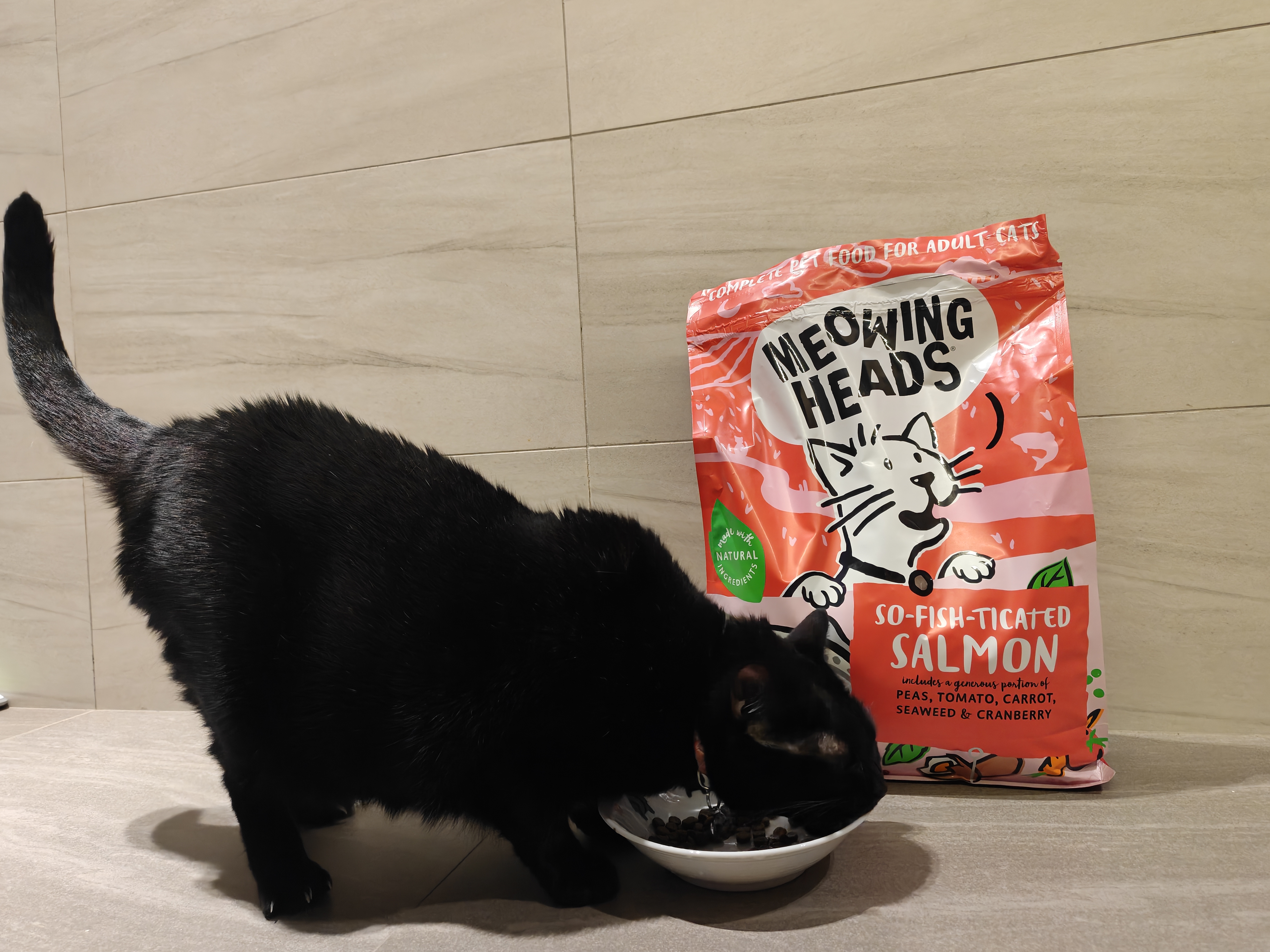 The Cat Reviews: What She Likes About Her Home