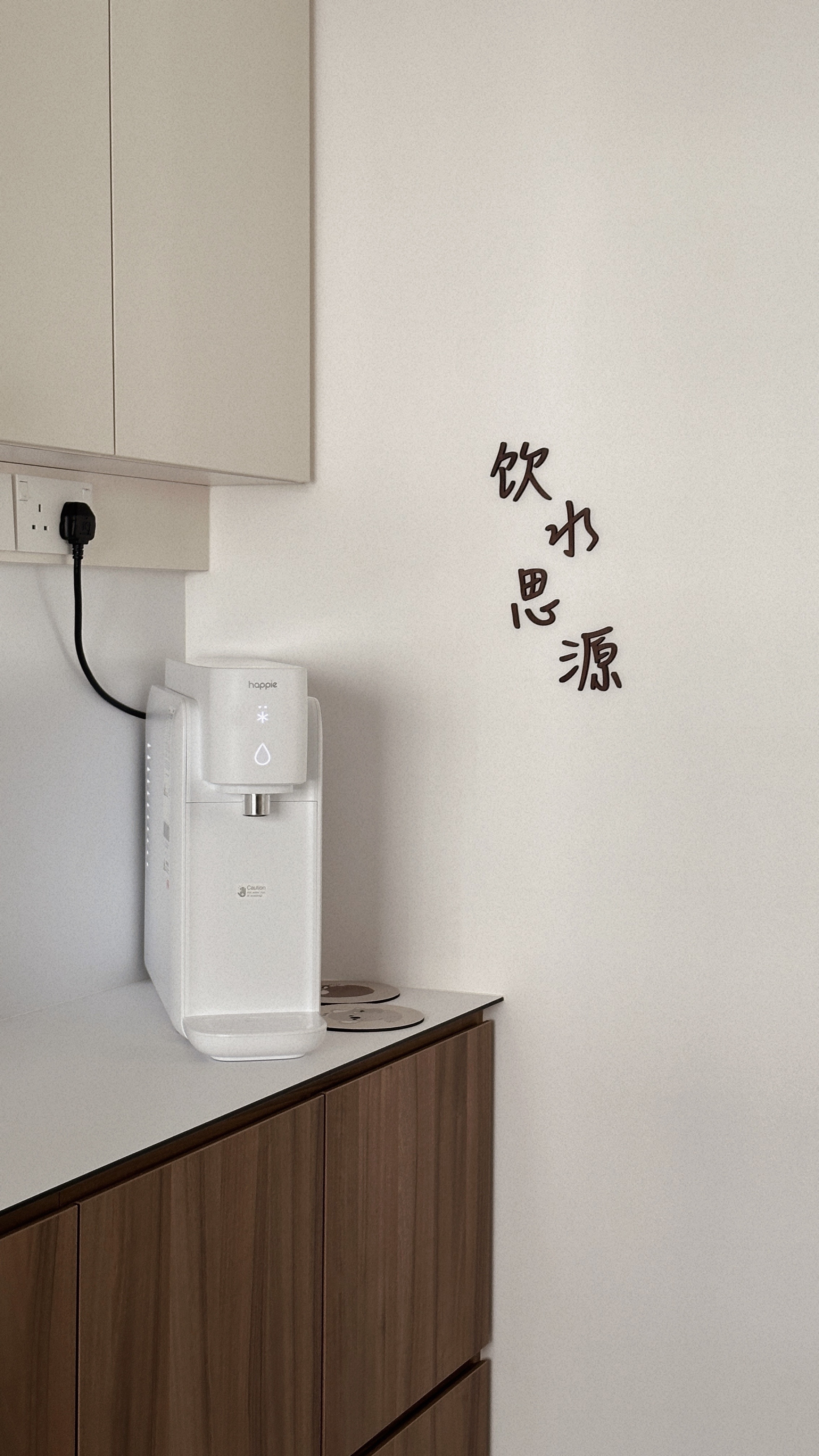 Water Purifier — How Did We Decide On THE ONE? 💧