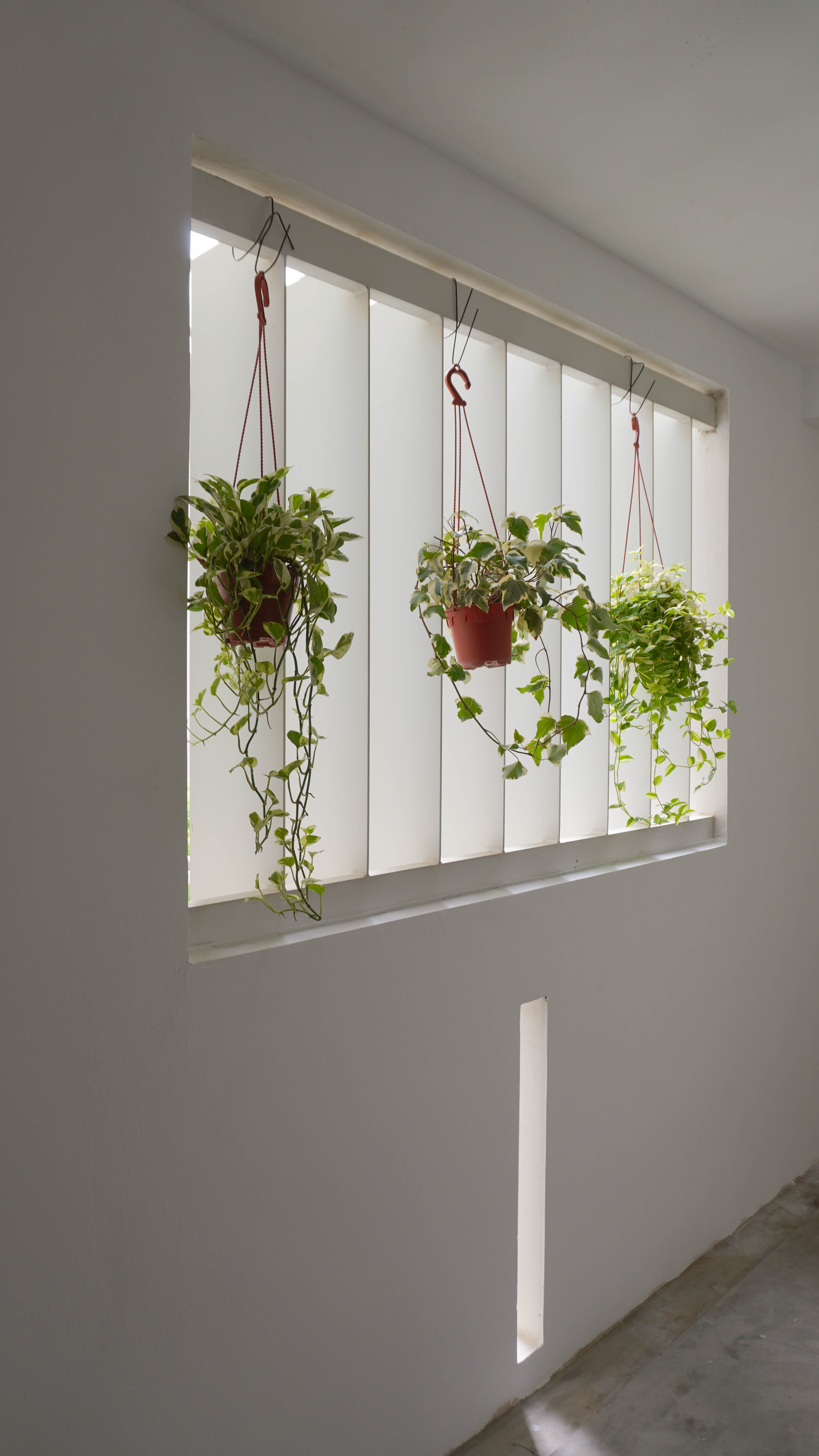 Our Entryway Reveal 🌿 | First Impressions Matter