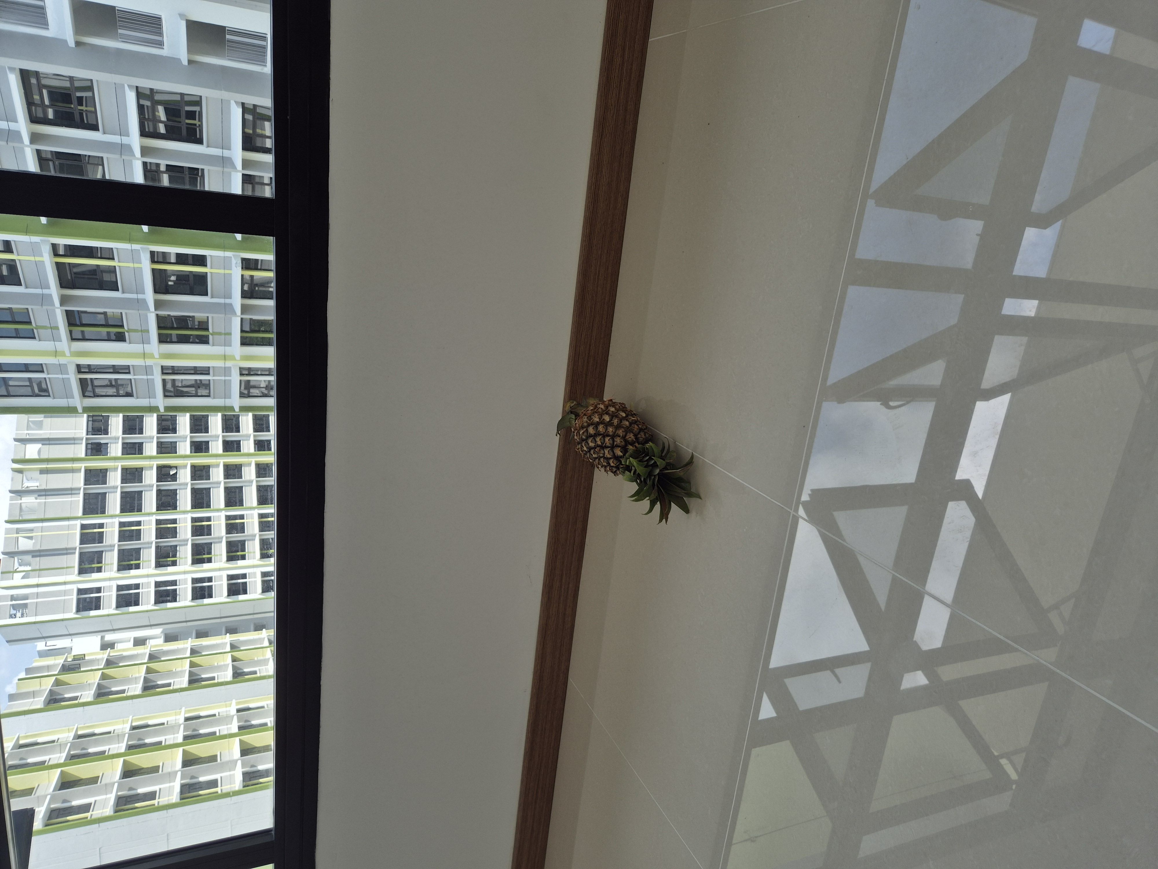 Our 3 months home reno journey