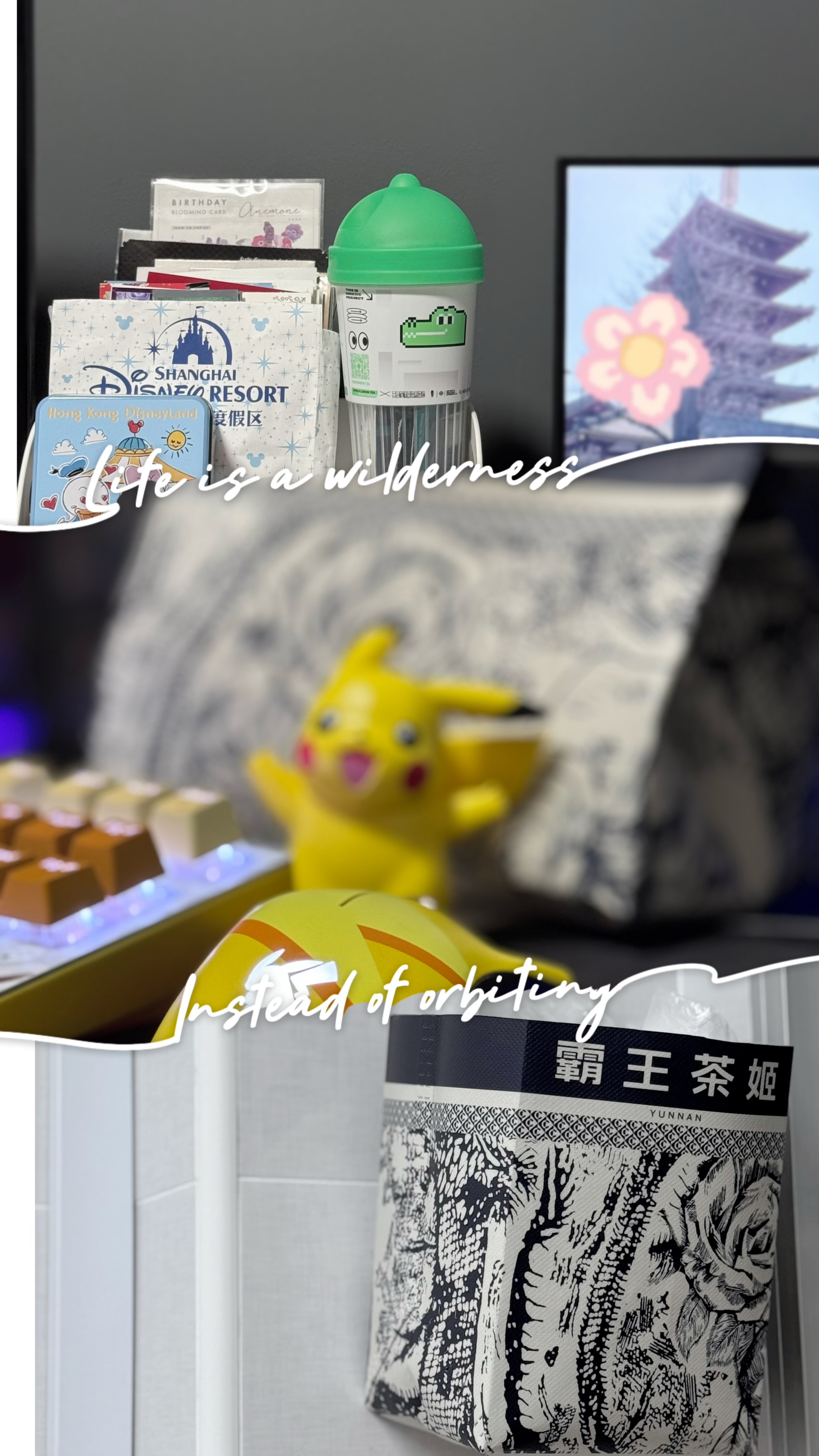 🧋-Giving-Things-a-Cozy-New-Home-♻️