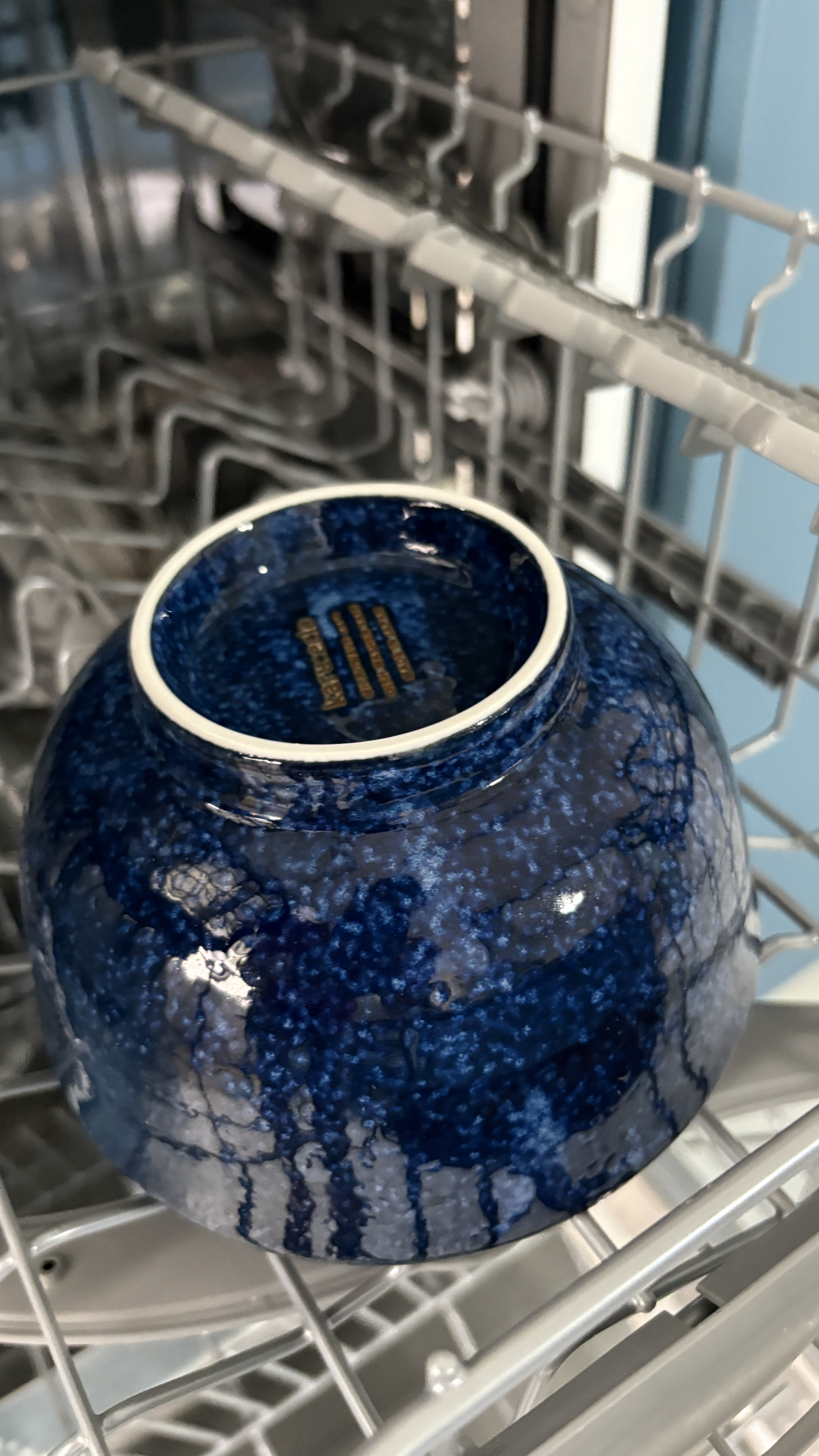 Read this if you're thinking of getting a dishwasher!
