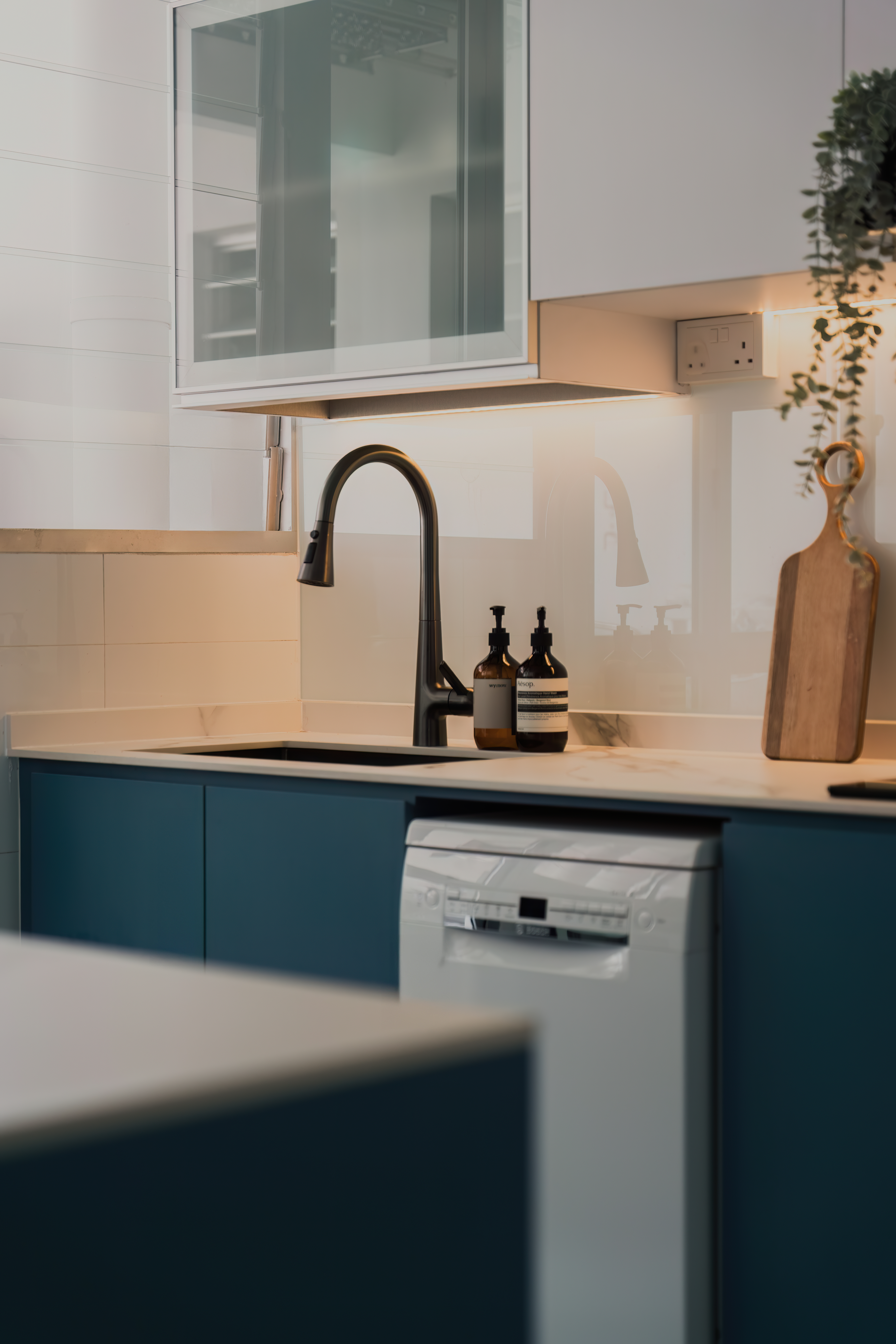 Read this if you're thinking of getting a dishwasher!