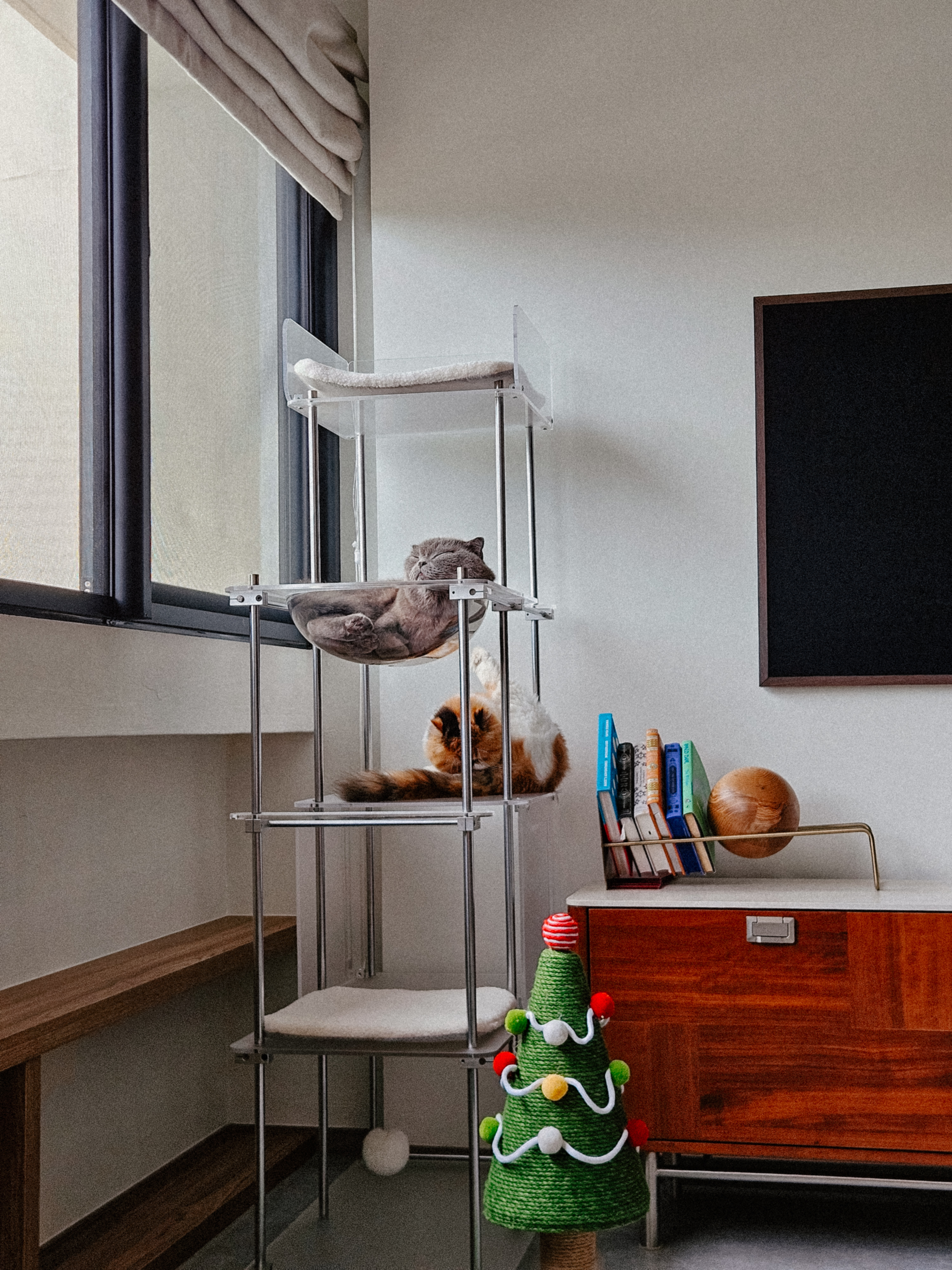 The-Cat-Tree-of-Our-Dreams-🐈💭