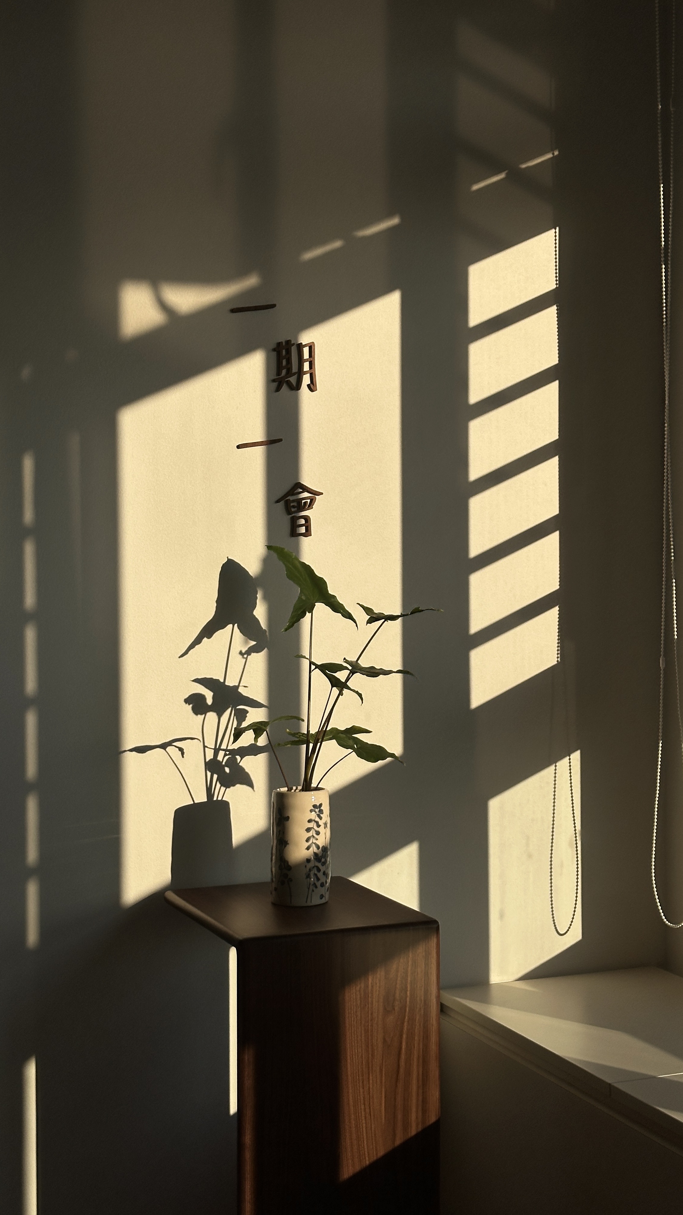 A Furniture with Endless Possibilities 🪵